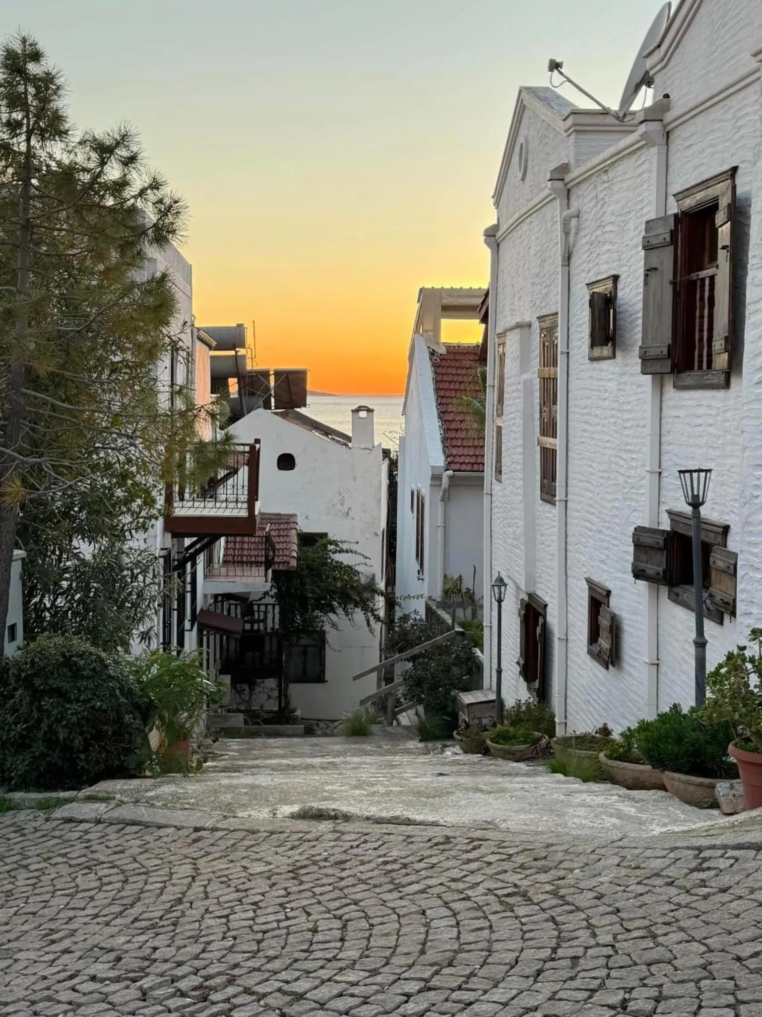 Property building in Courtyard