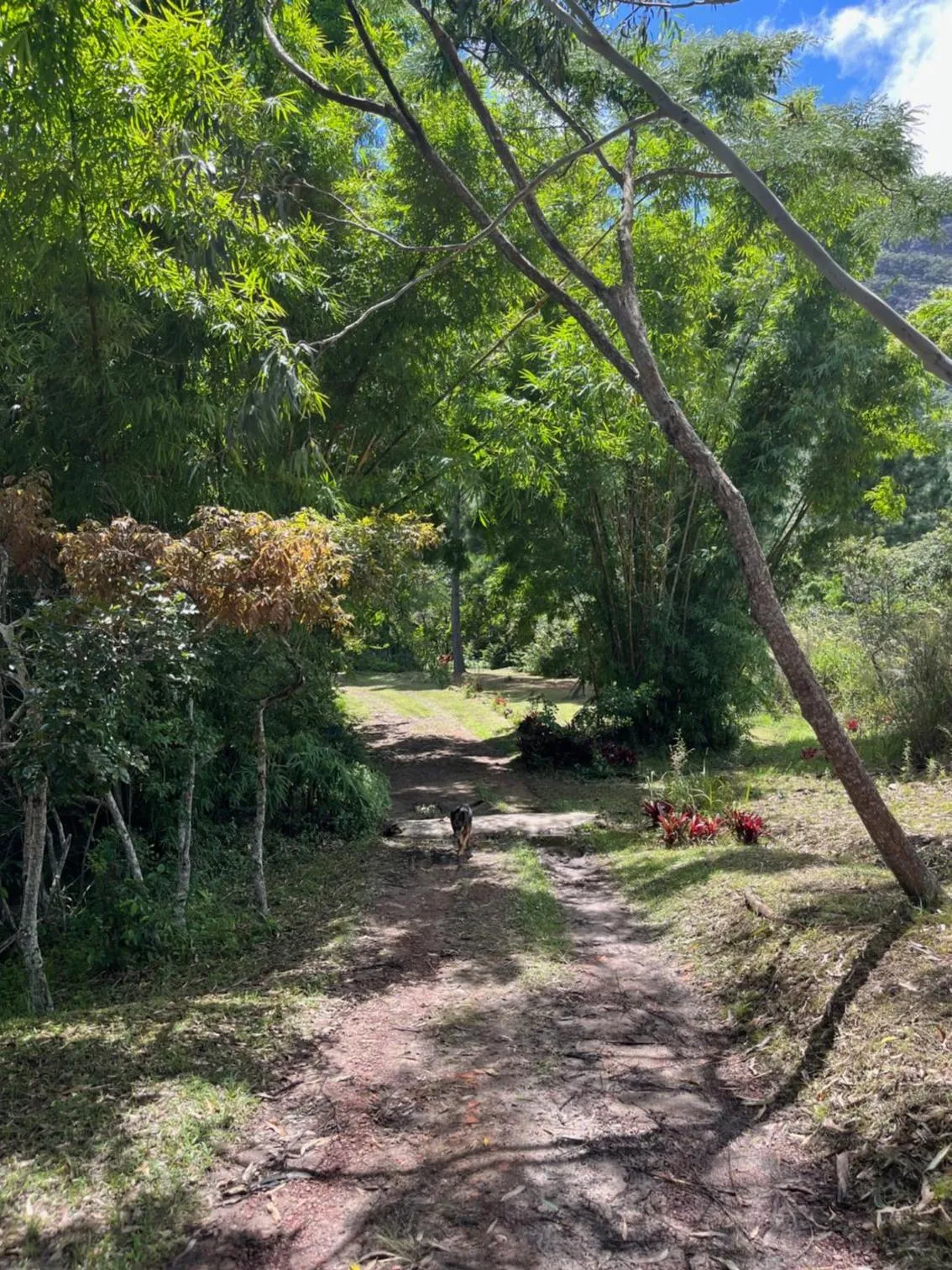 Garden in Pousada Canto das Cachoeiras