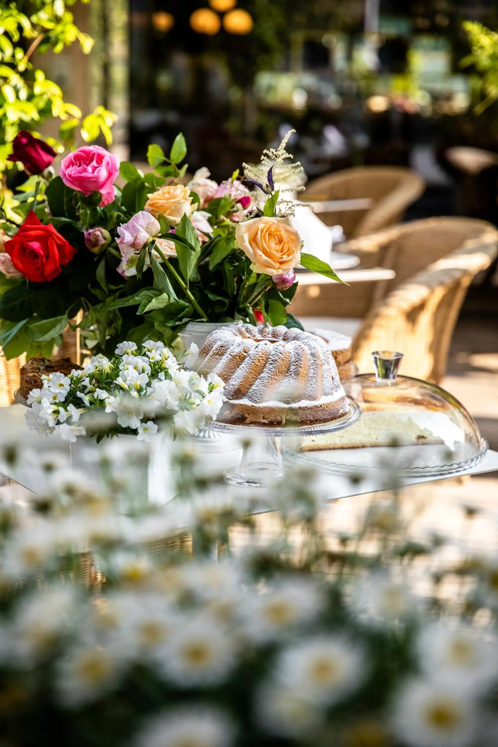 Balcony/Terrace in Hotel Aurora