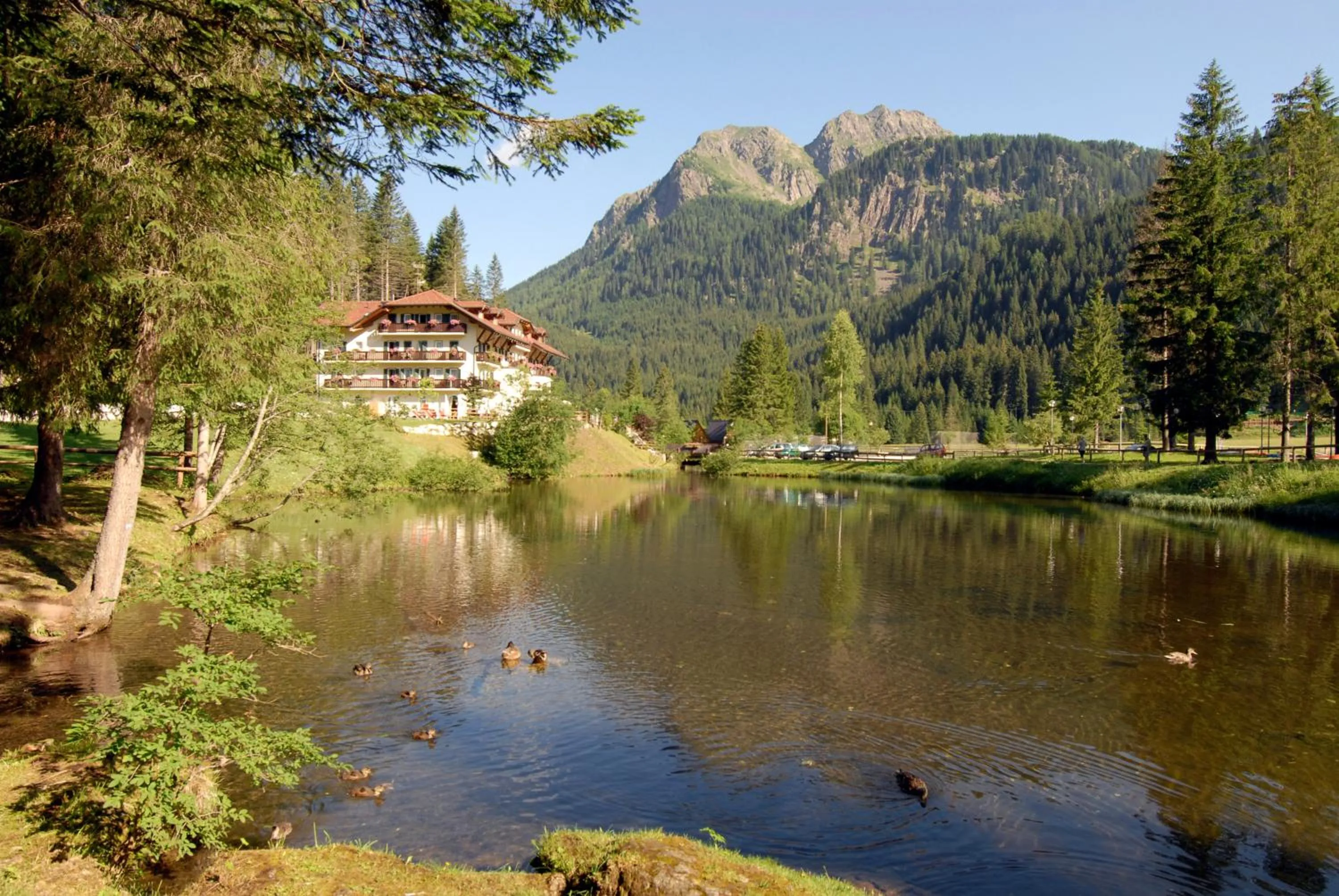 Area and facilities in Hotel Plank