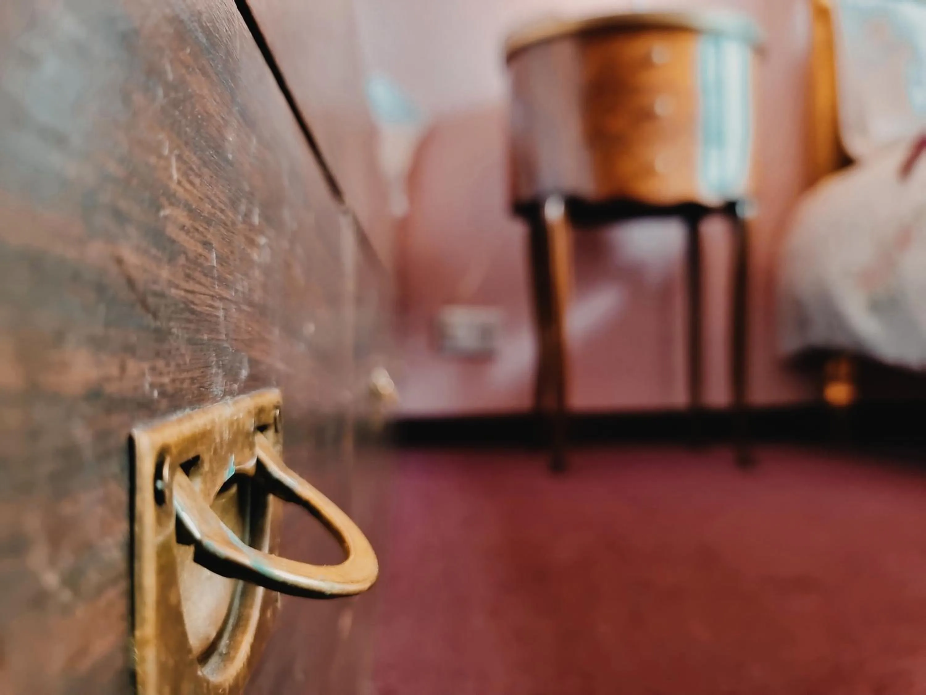 Decorative detail in FLOR AUSTRAL