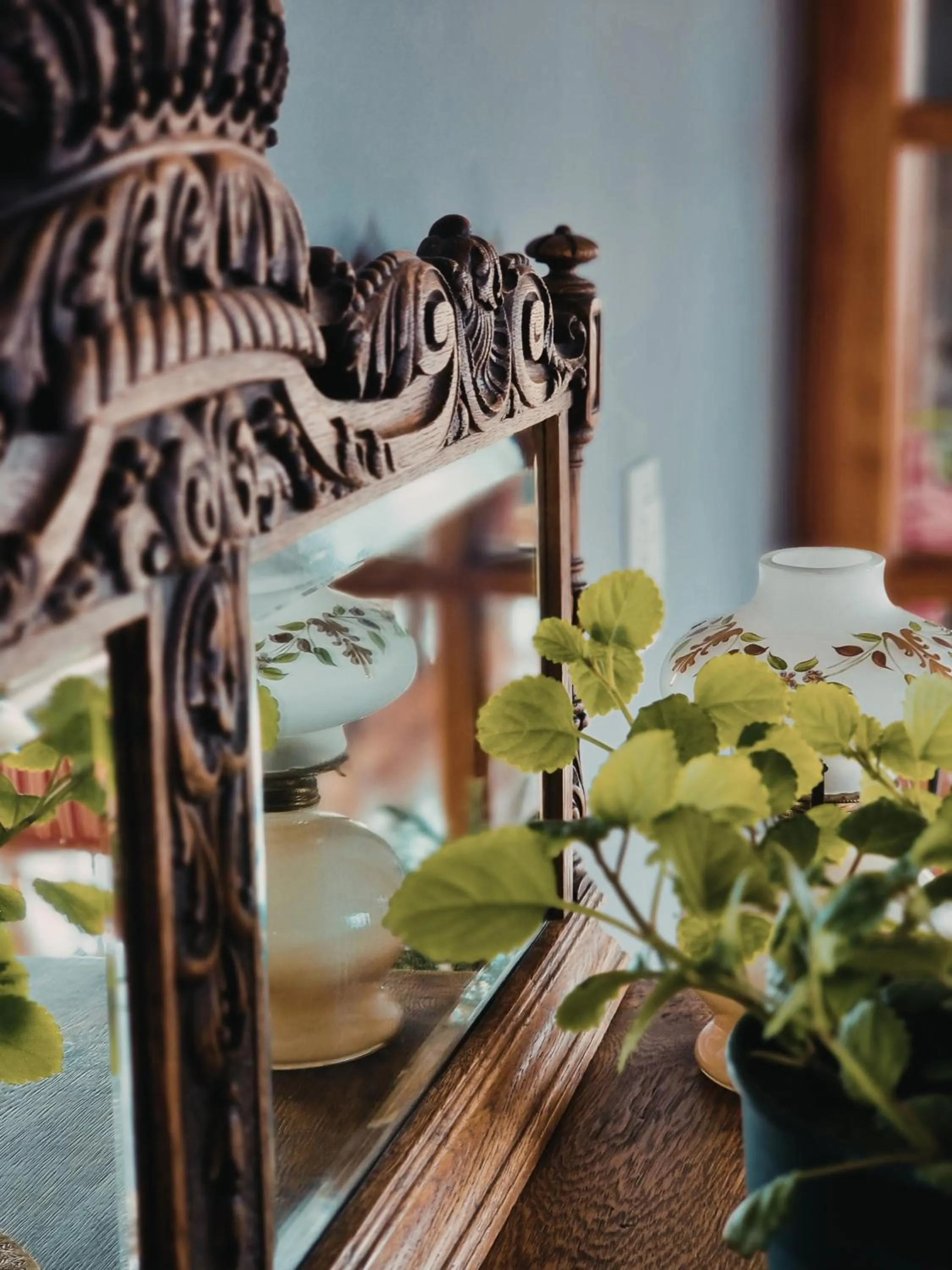 Decorative detail in FLOR AUSTRAL