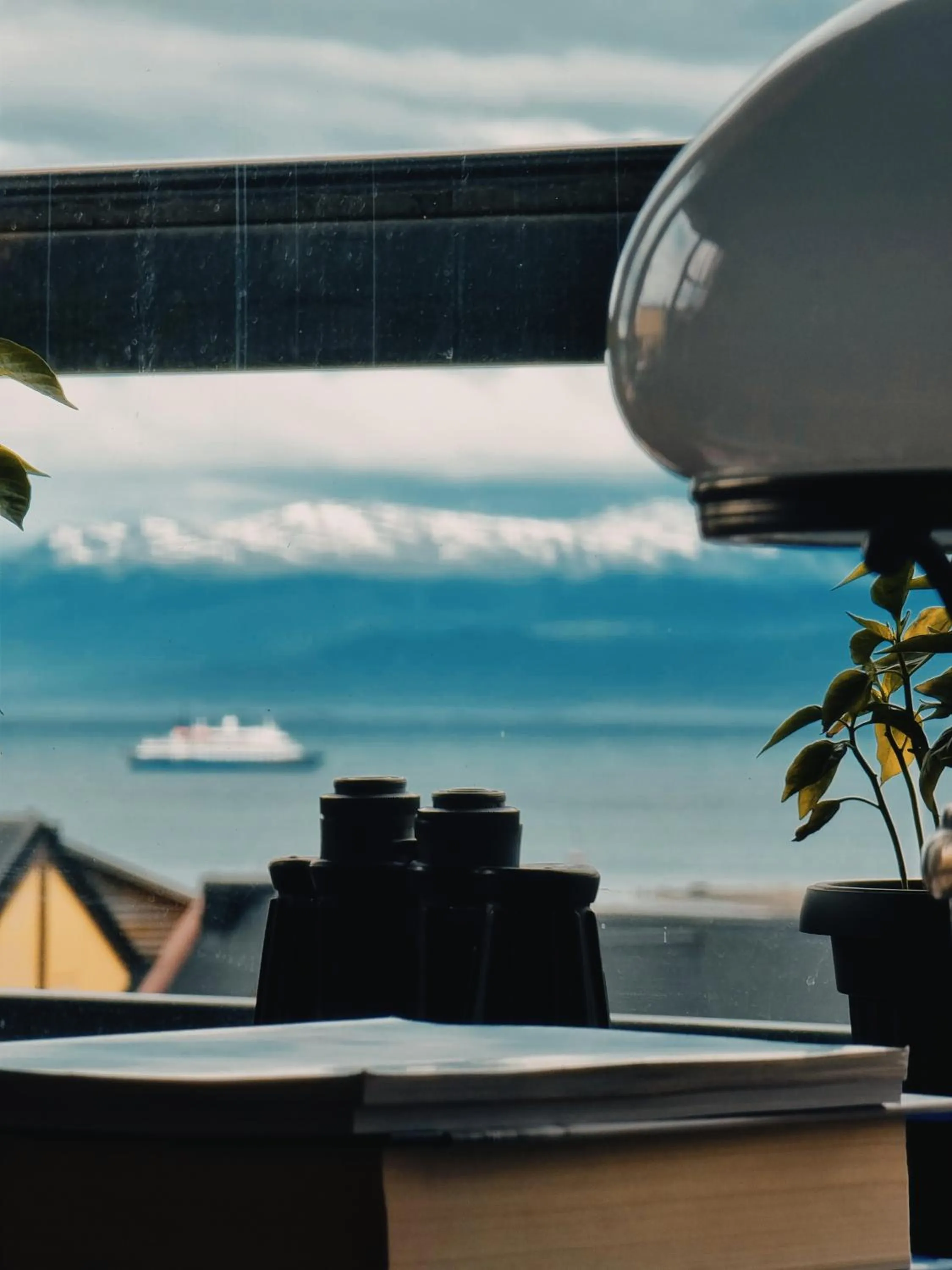 Sea view in FLOR AUSTRAL