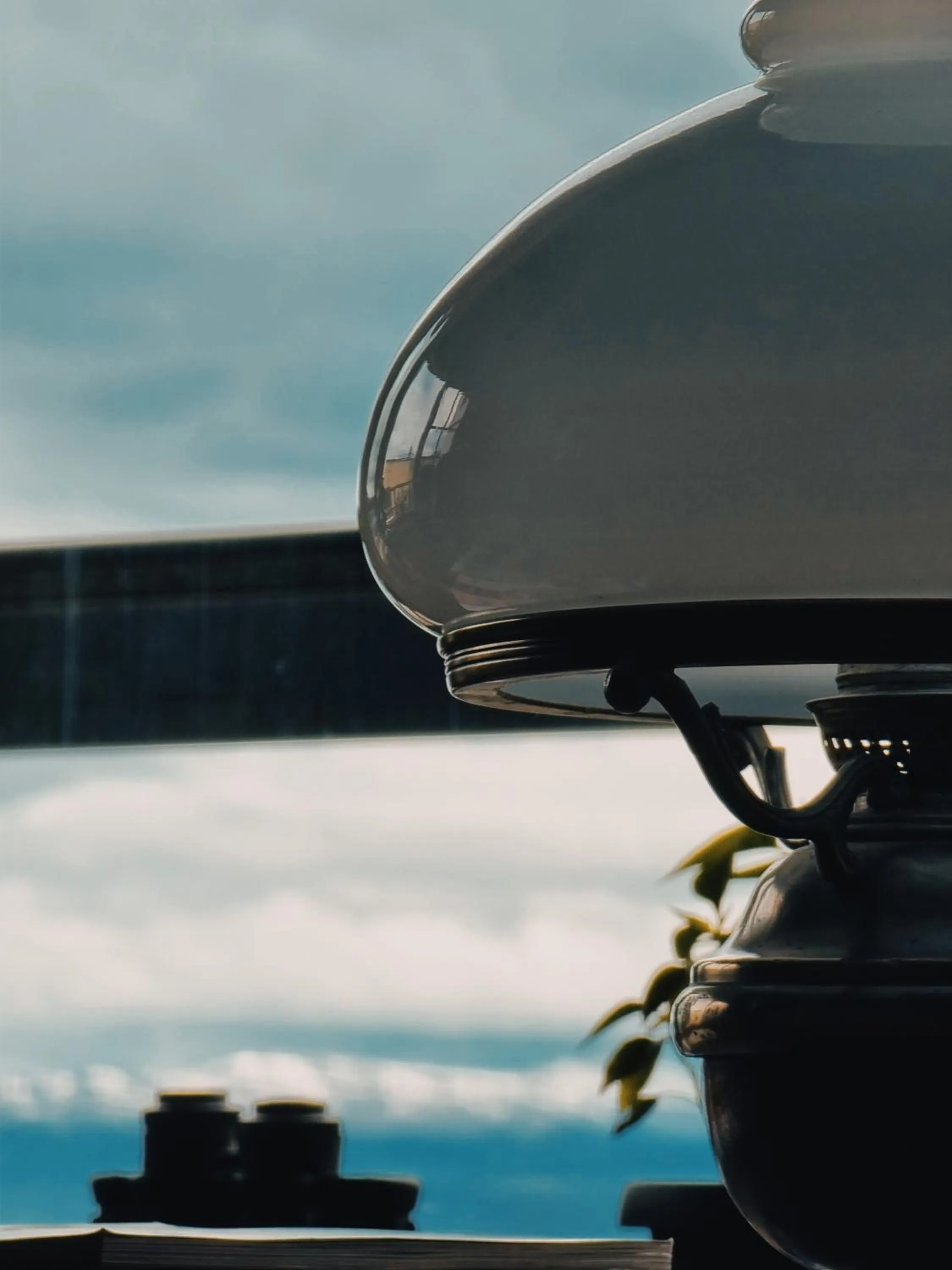 Decorative detail in FLOR AUSTRAL