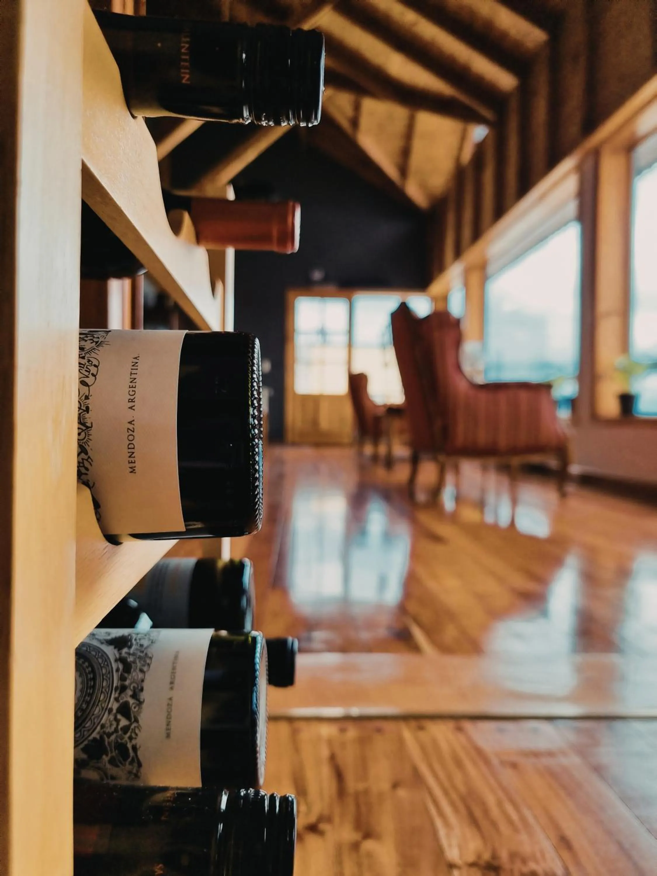 Living room in FLOR AUSTRAL
