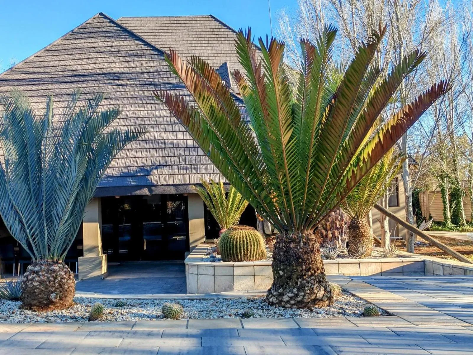 Garden in Monte Christo Hotel