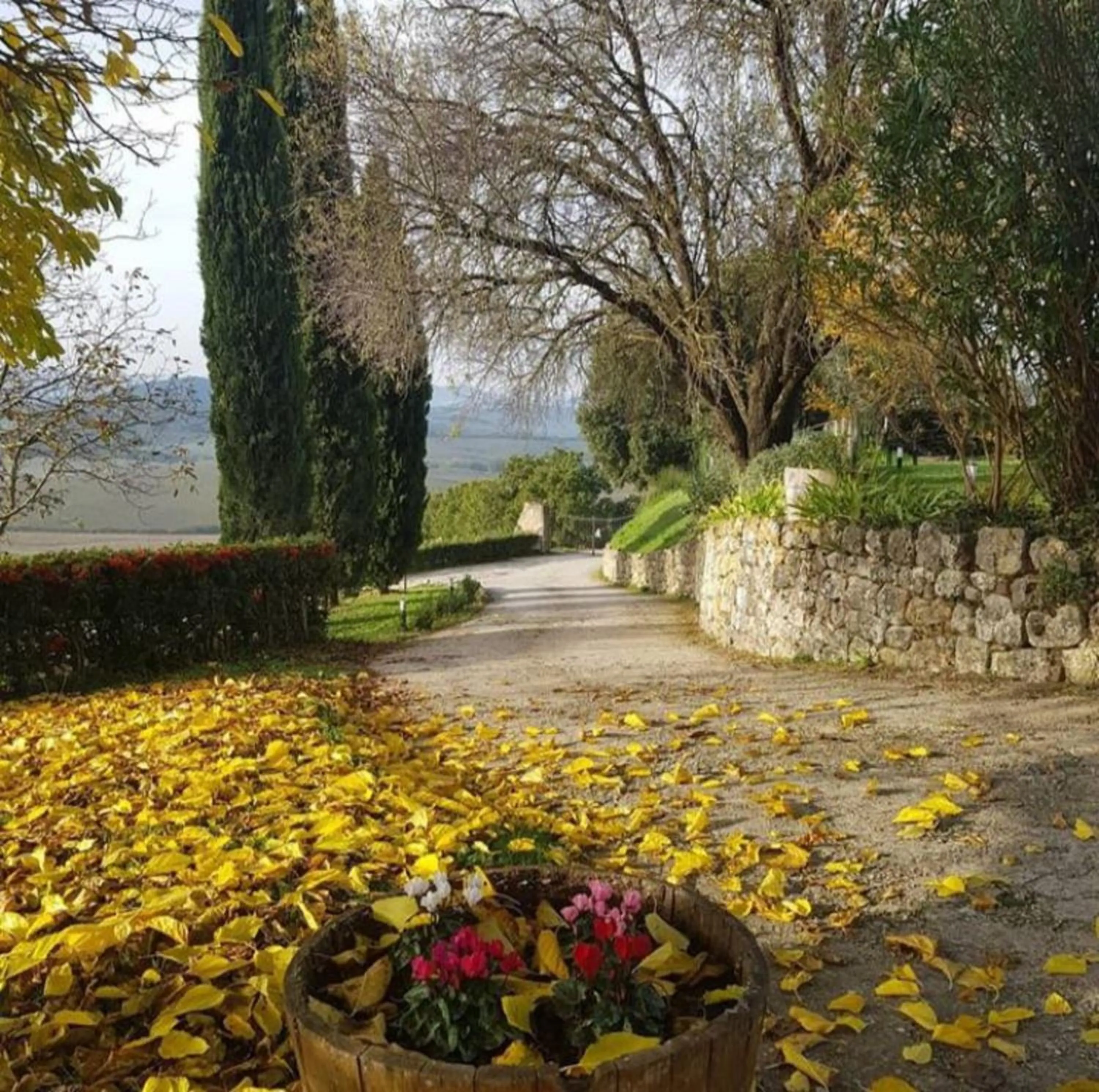 Natural landscape in Relais CastelBigozzi