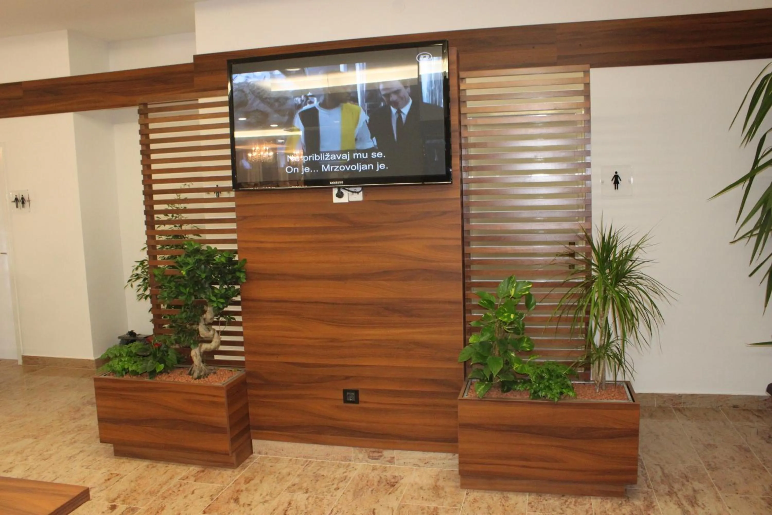 TV and multimedia in Hotel Garić