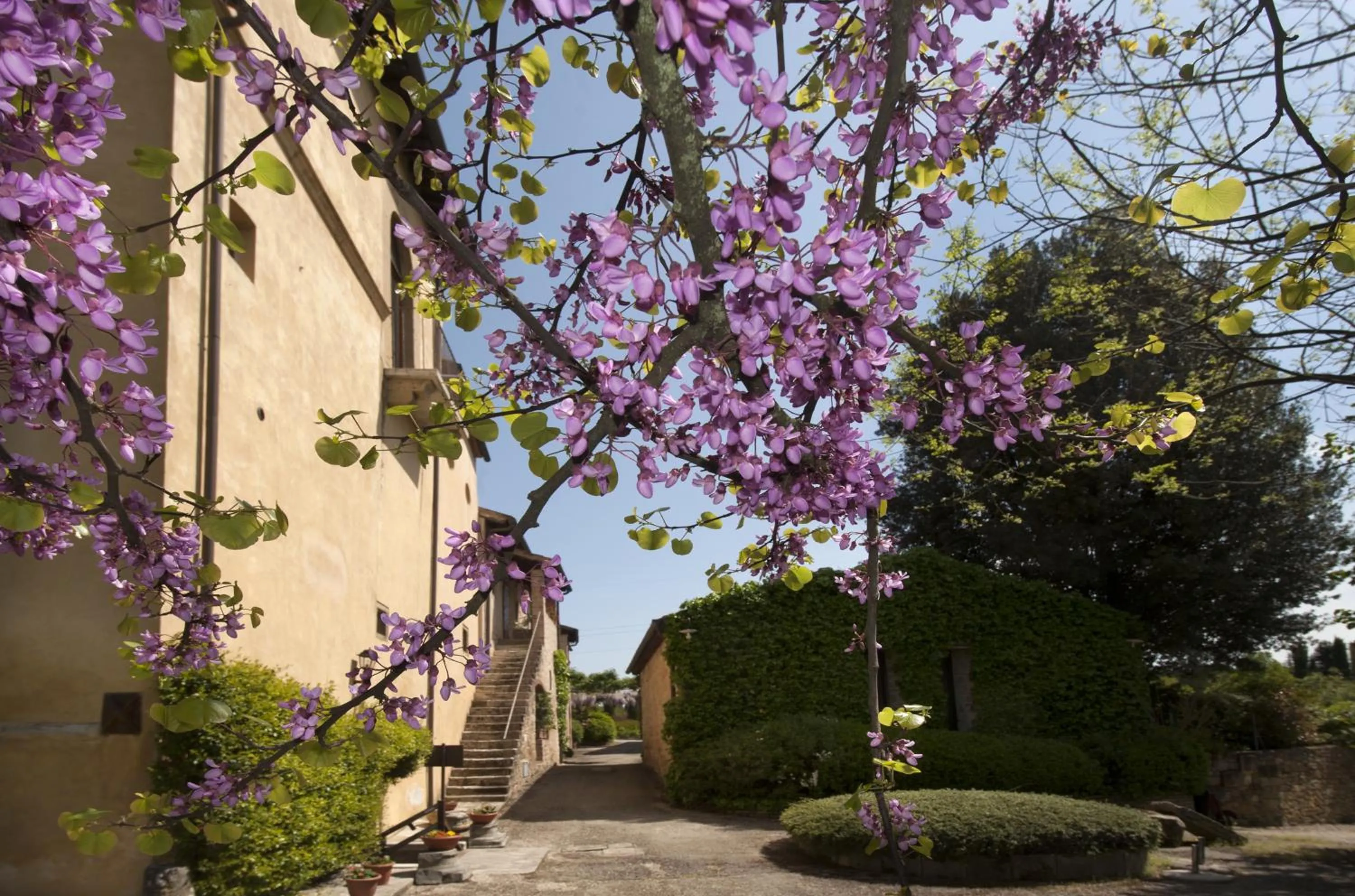 Garden in Relais Della Rovere