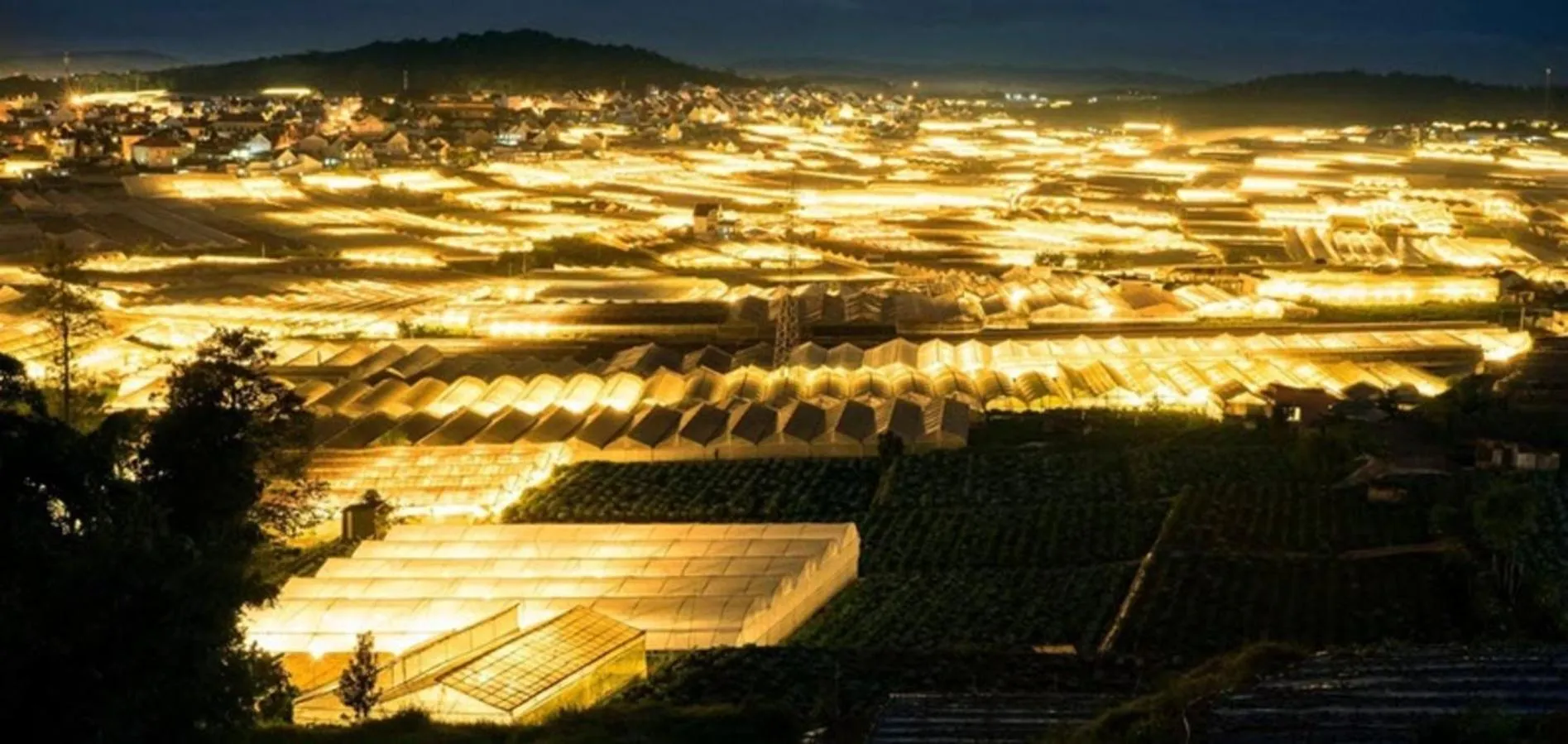 Night in ANH ĐÀO HOTEL