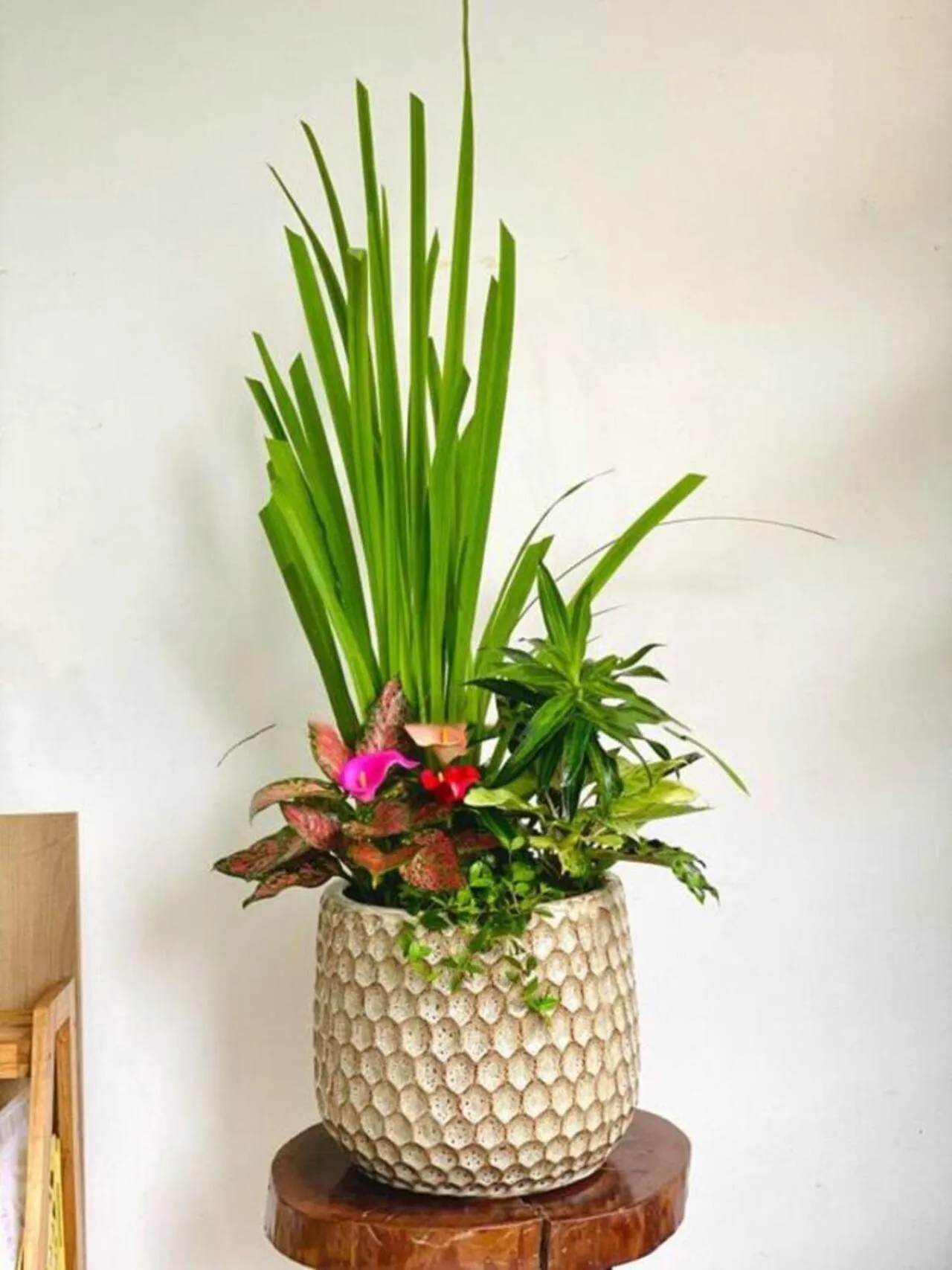 Area and facilities in ANH ĐÀO HOTEL