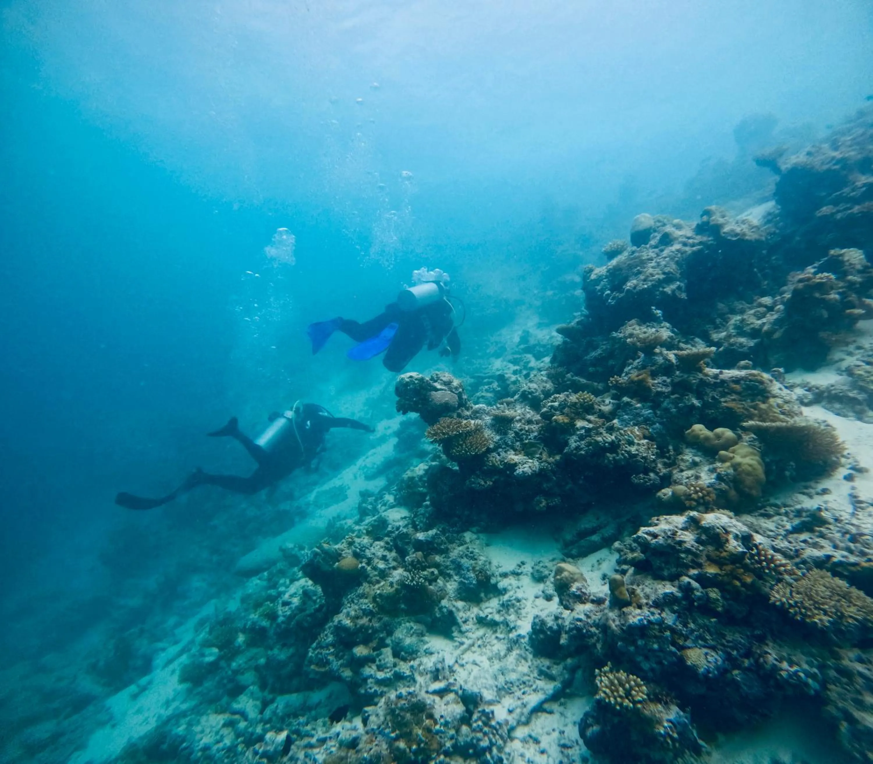 Activities in VIVA Beach Maldives