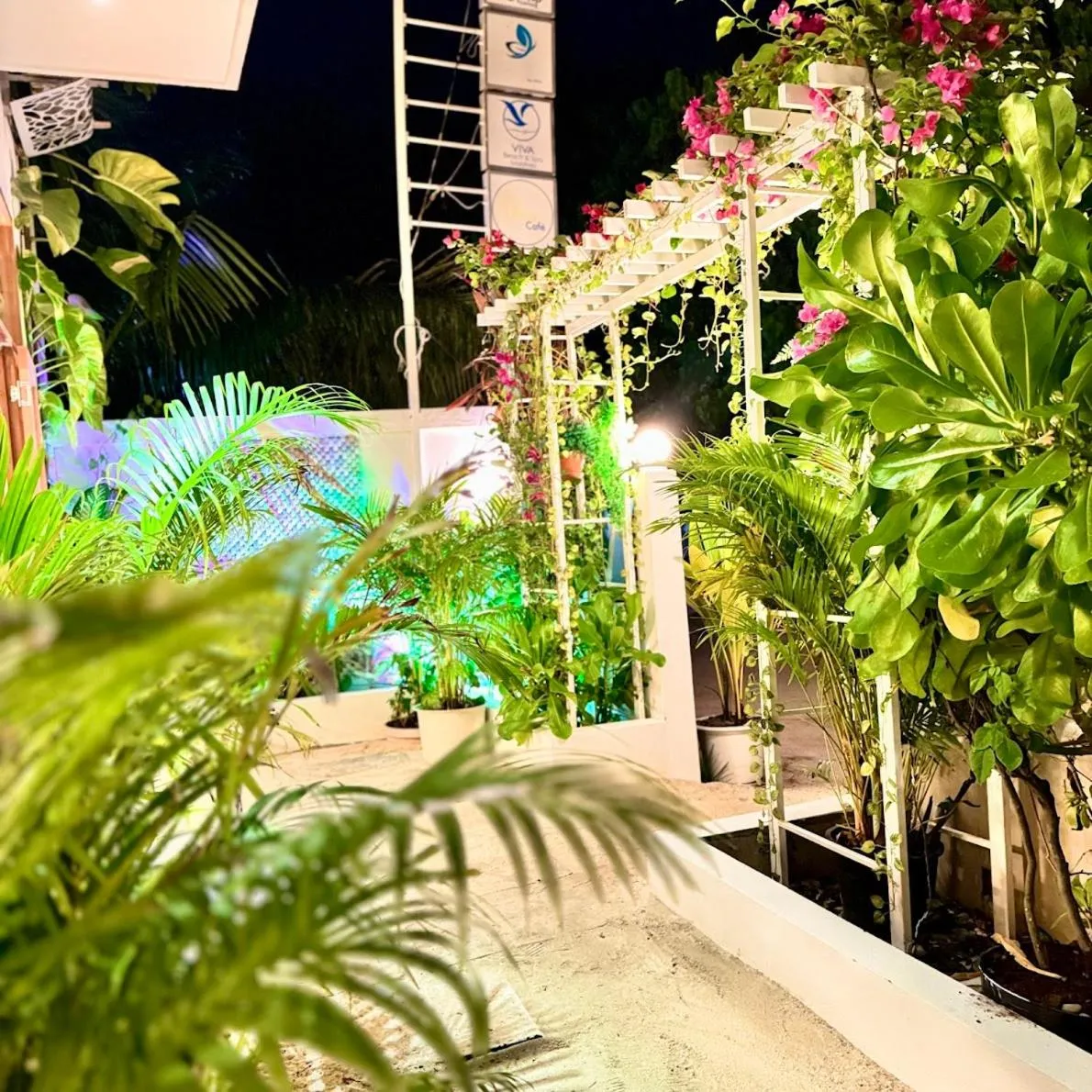 Property building in VIVA Beach Maldives