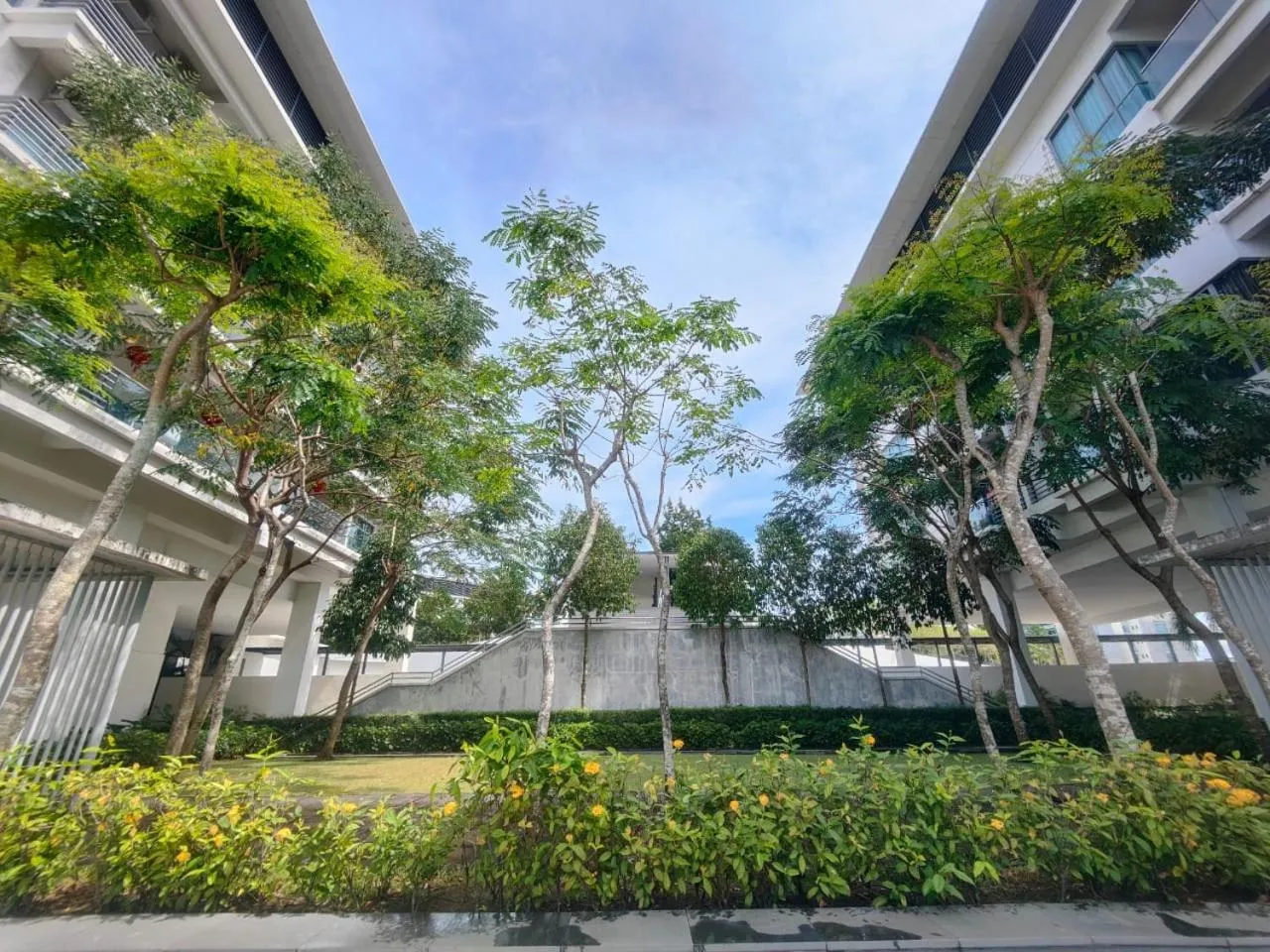 Garden in Mari Mari Homestay - IMAGO THE LOFT