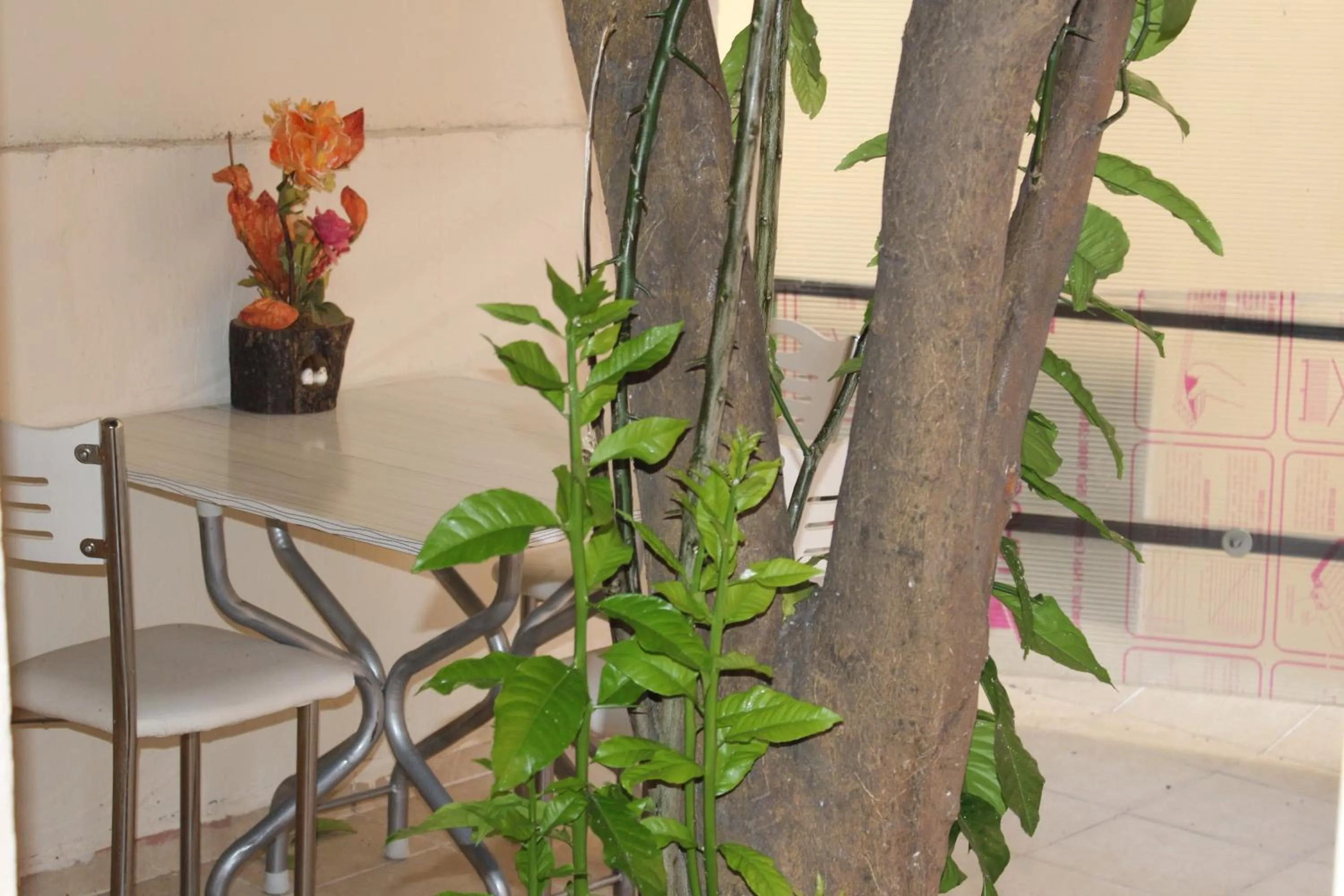 Garden in Carvan HOTEL