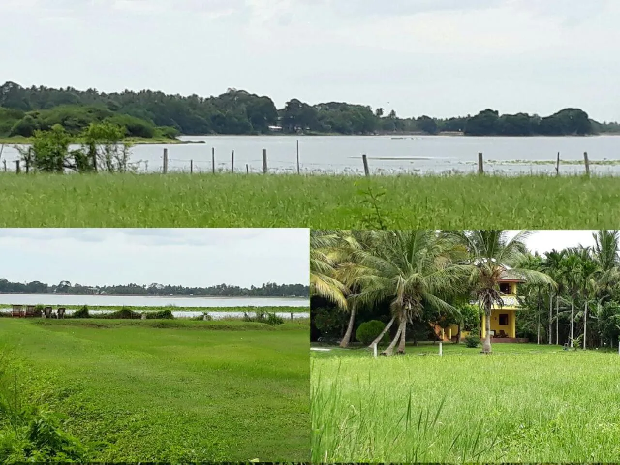 Natural landscape in Lake View Cottage