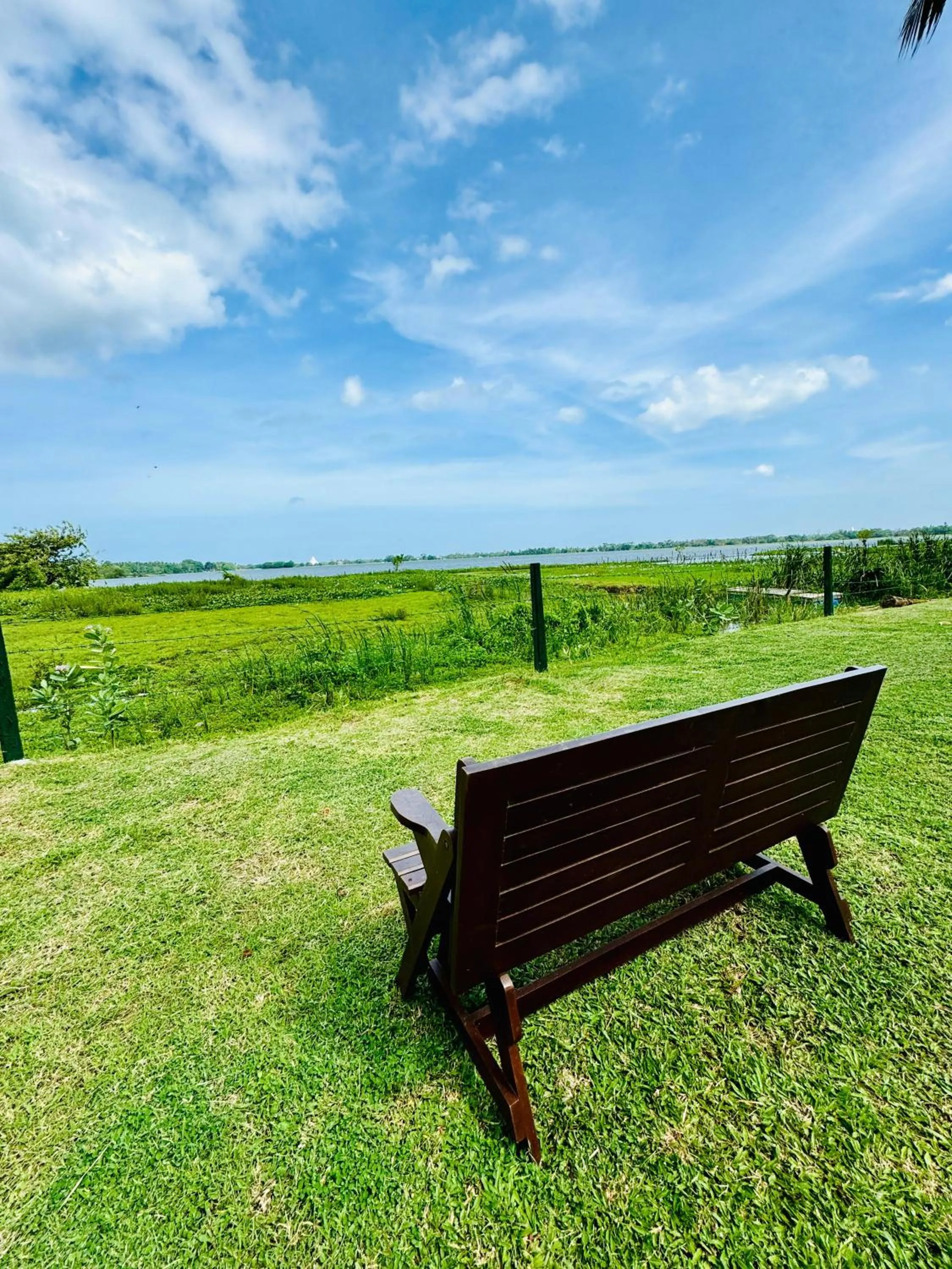 Garden in Lake View Cottage