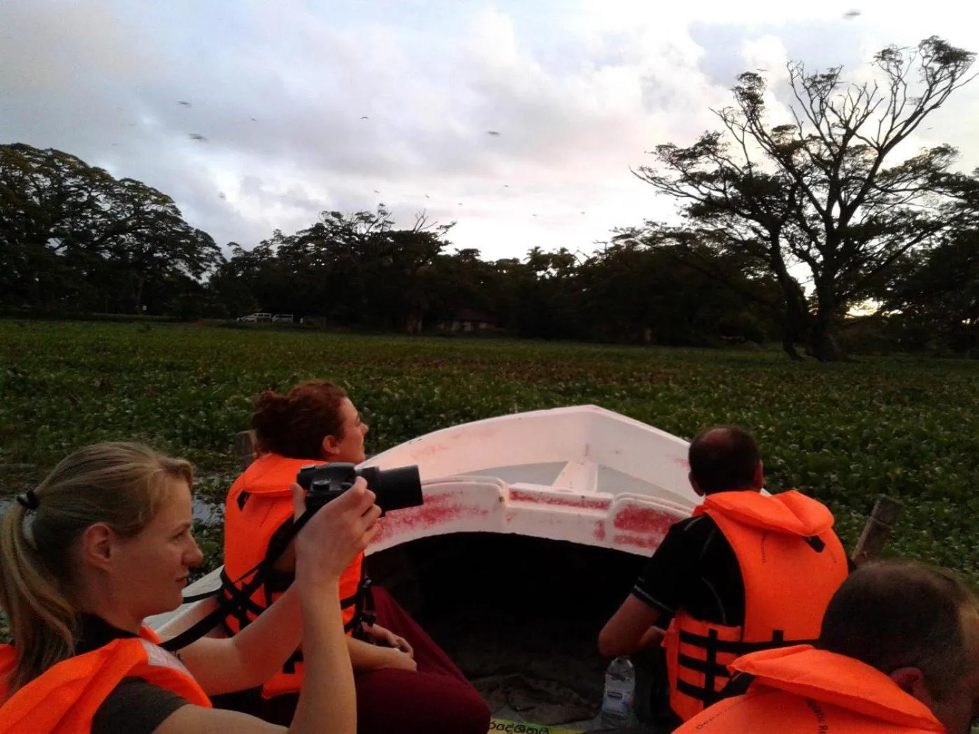 Activities in Lake View Cottage