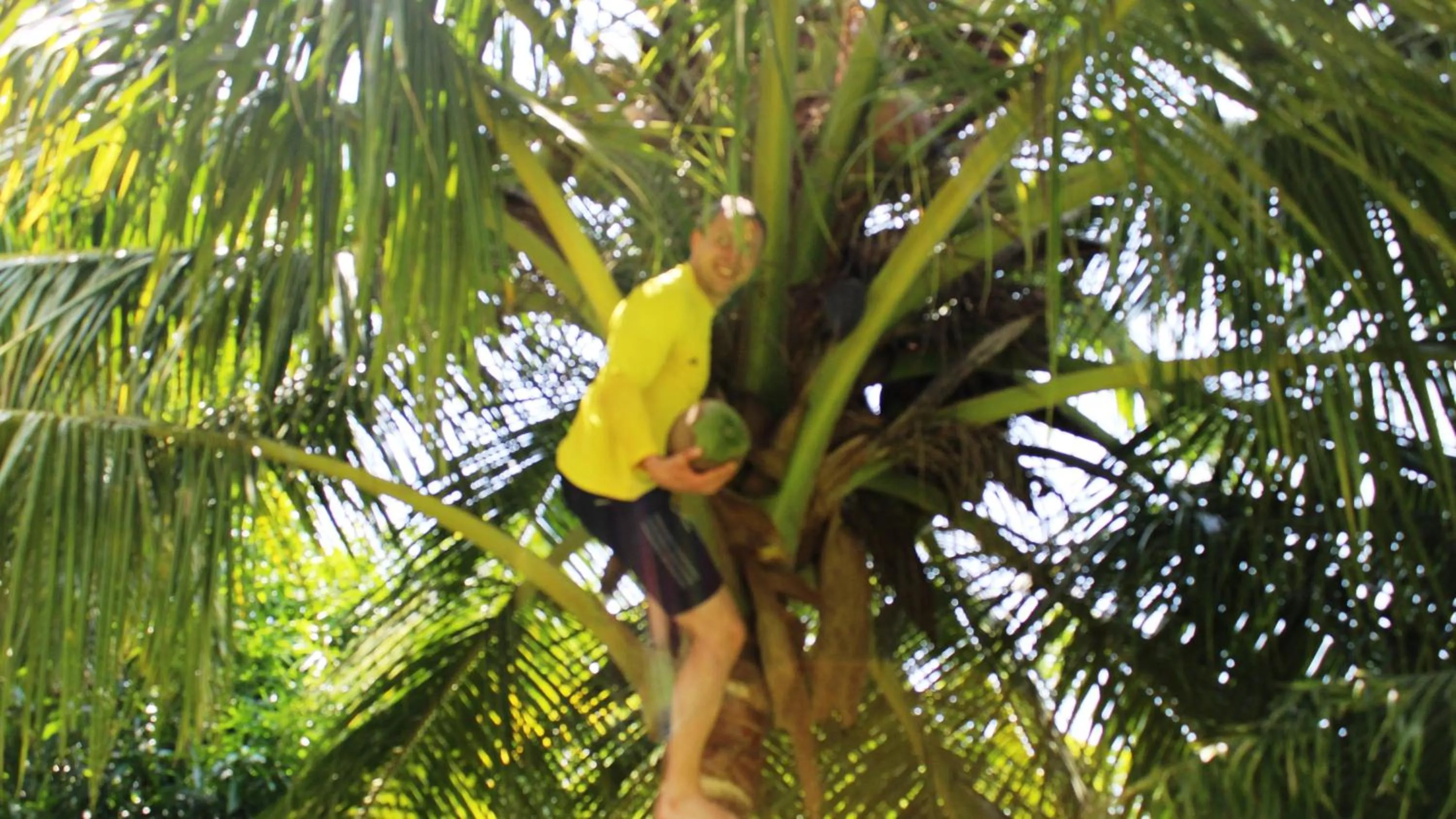 Activities in Lake View Cottage