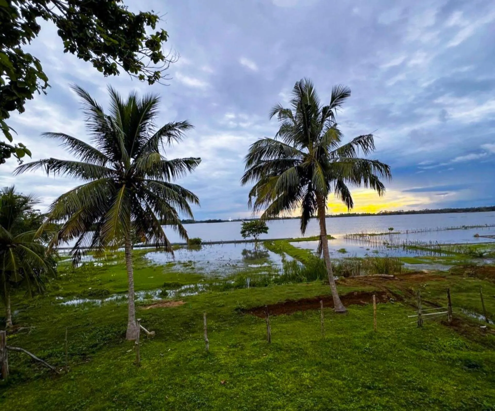 View (from property/room) in Lake View Cottage