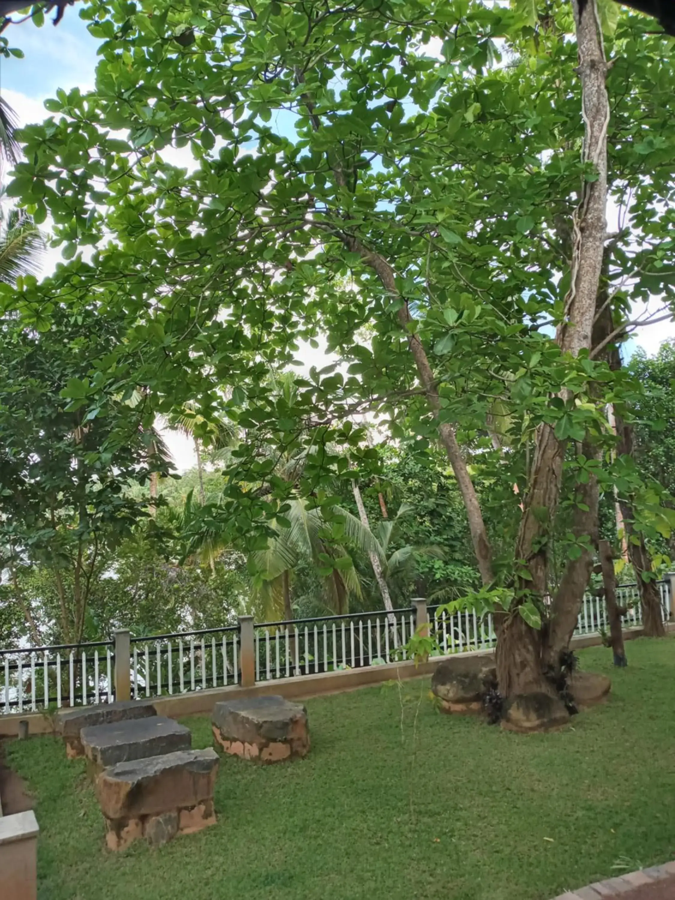 Double Room with Garden View in Villa Birdlake Double Room with Garden View in Villa Birdlake