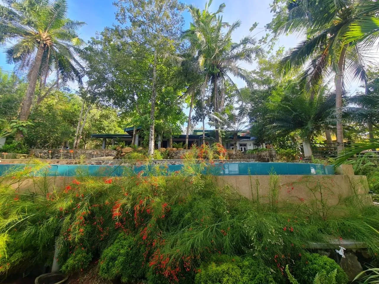 Garden in Villa Birdlake