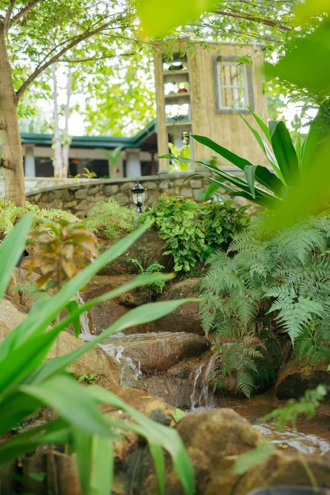 Garden in Villa Birdlake