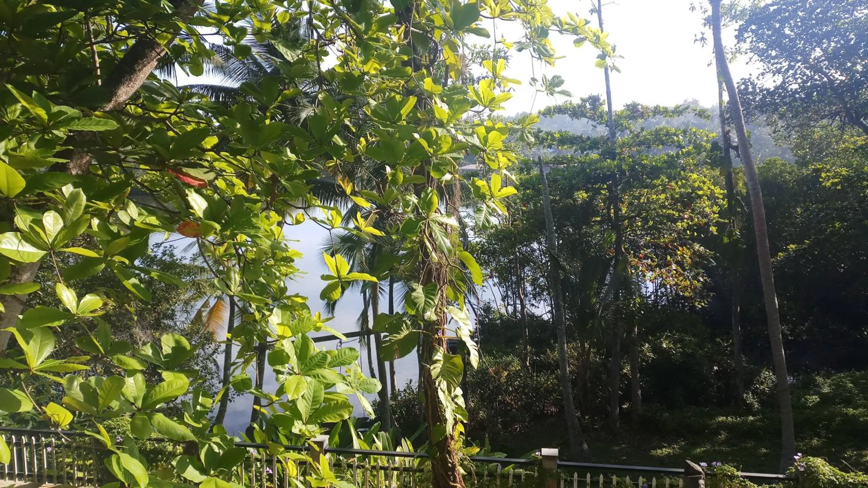 Balcony/Terrace in Villa Birdlake