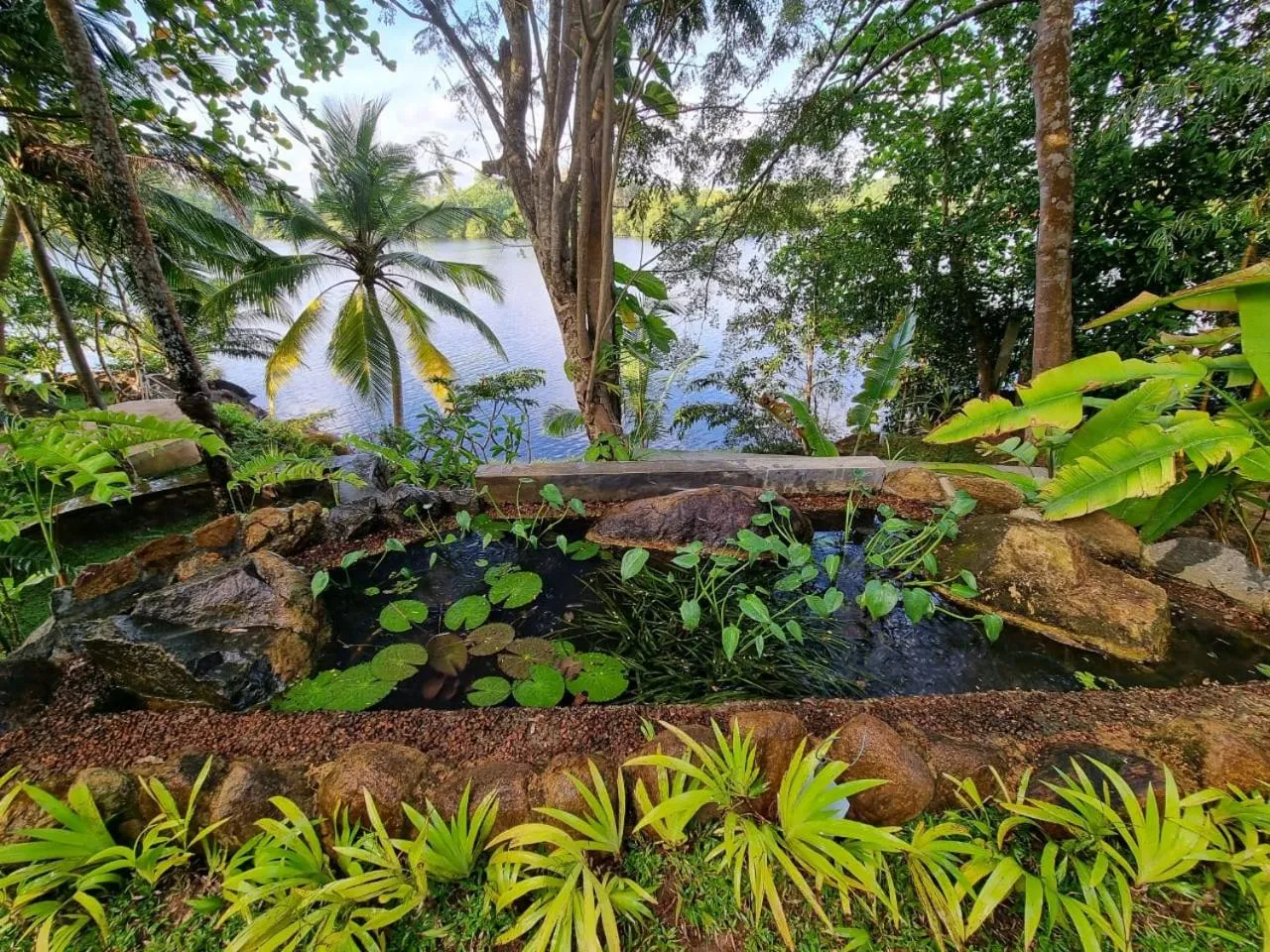 Natural landscape in Villa Birdlake