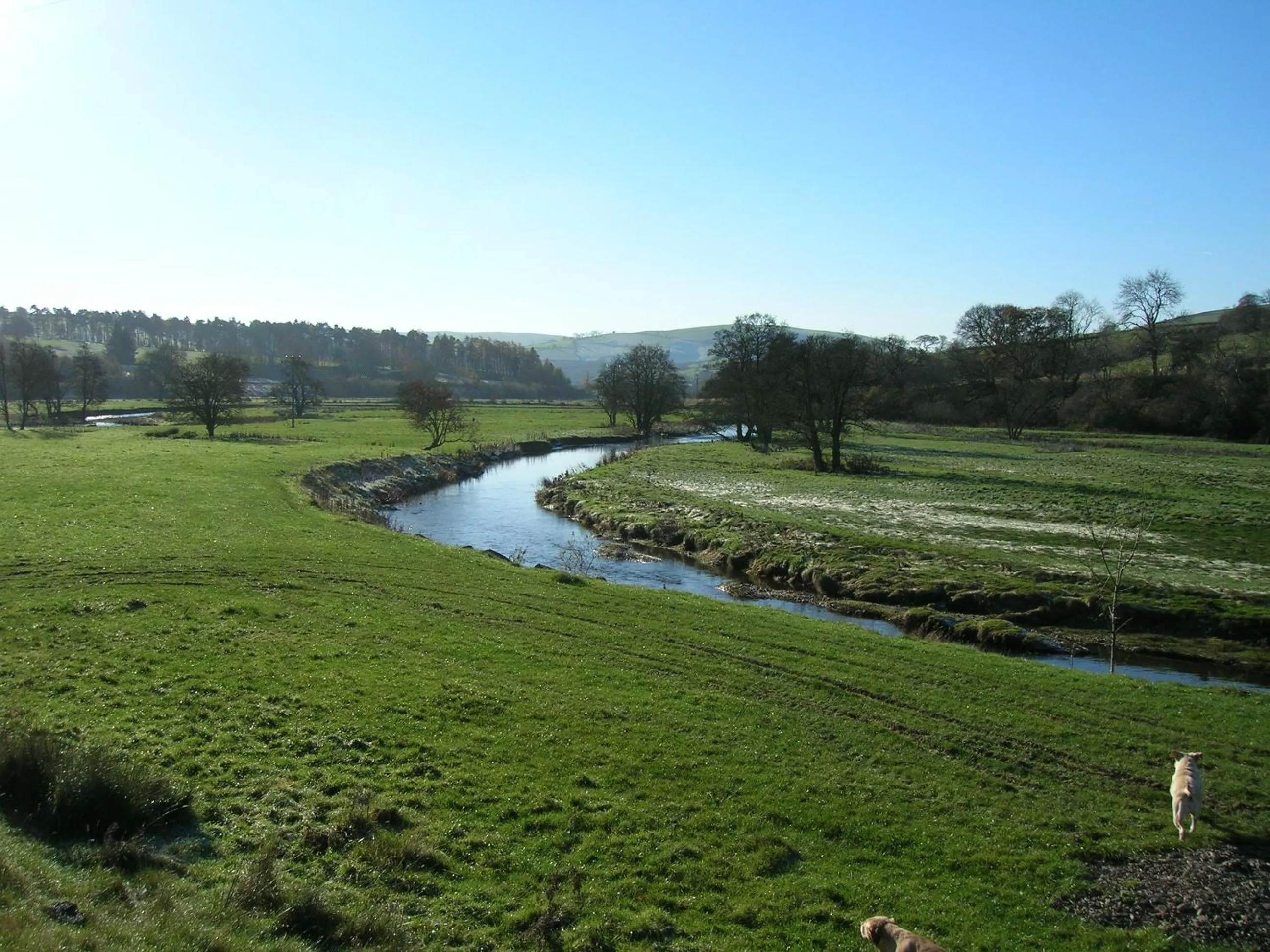 View (from property/room) in Lion Hotel