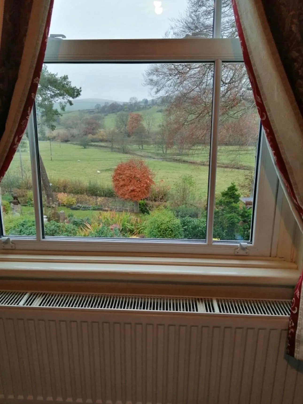 Garden view in Lion Hotel