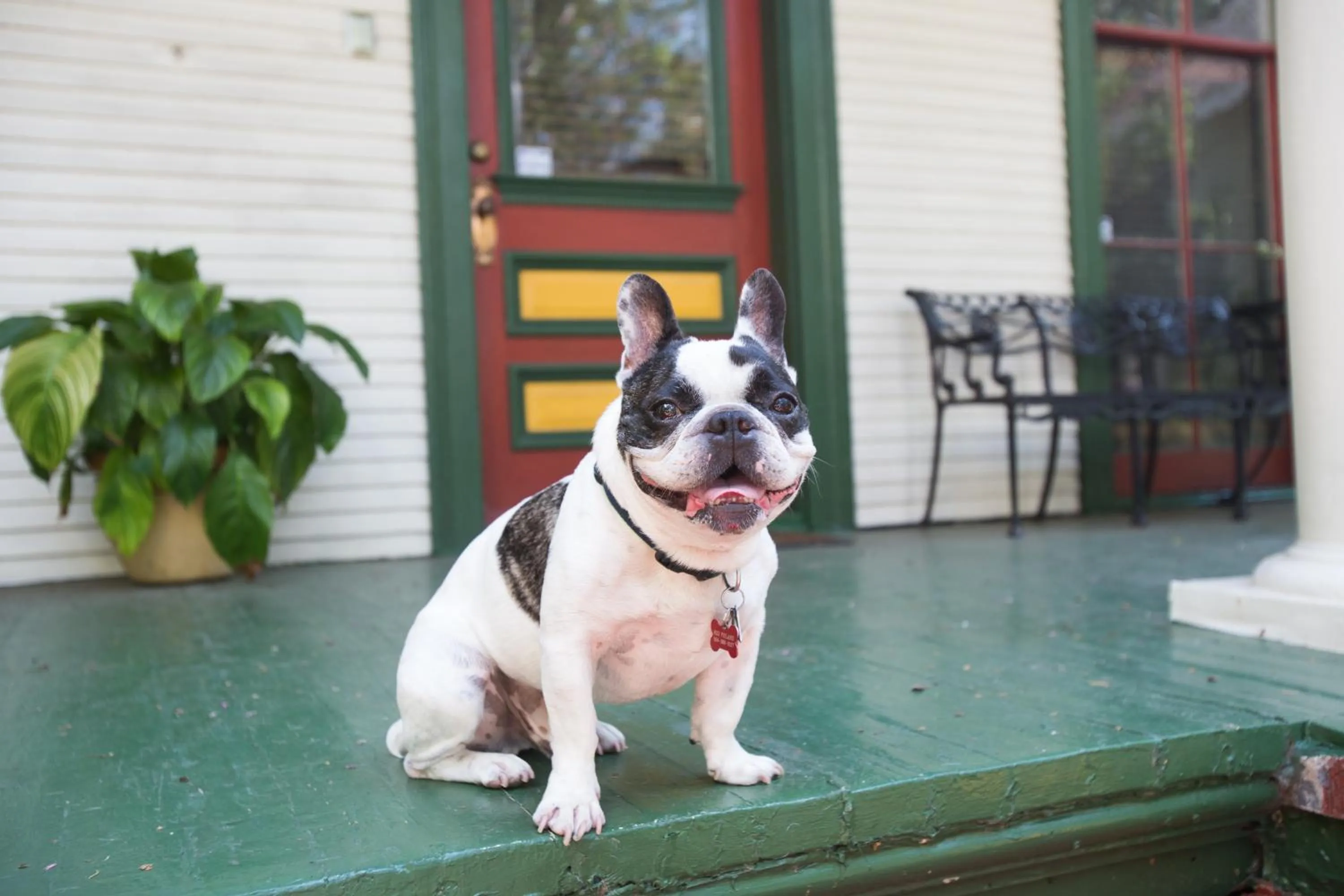 Staff in The Lookout Inn