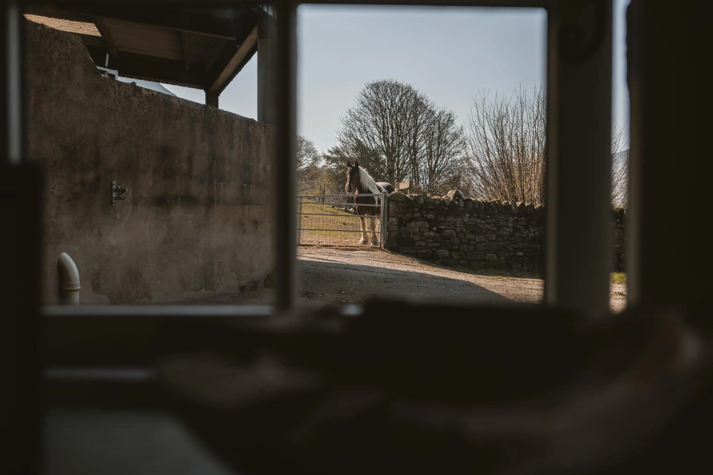 View (from property/room) in Highside Farm