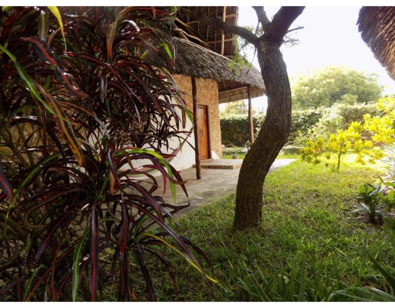 Property building in Watamu Eco Villas