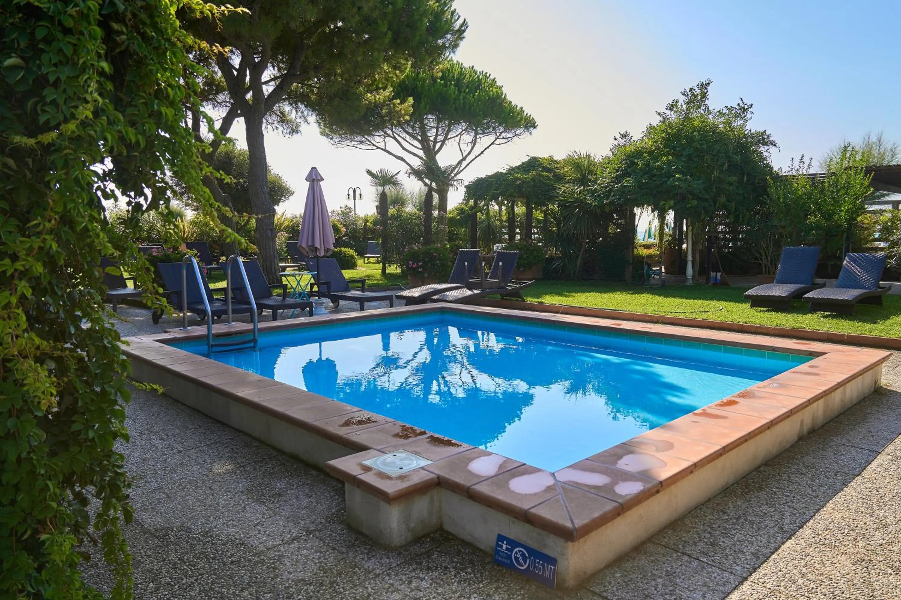 Pool view in Hotel Viña del Mar Pineta