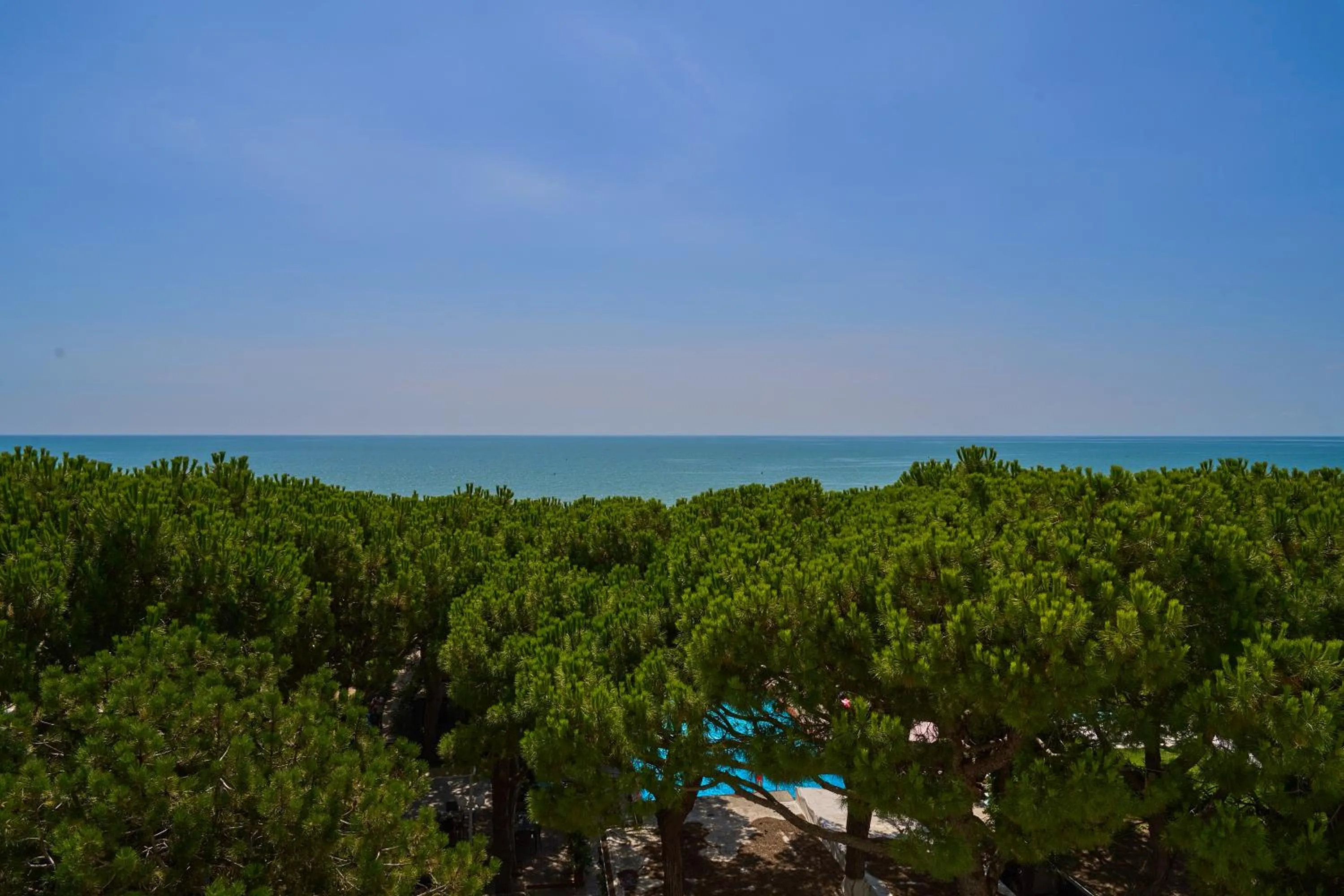 Sea view in Hotel Viña del Mar Pineta