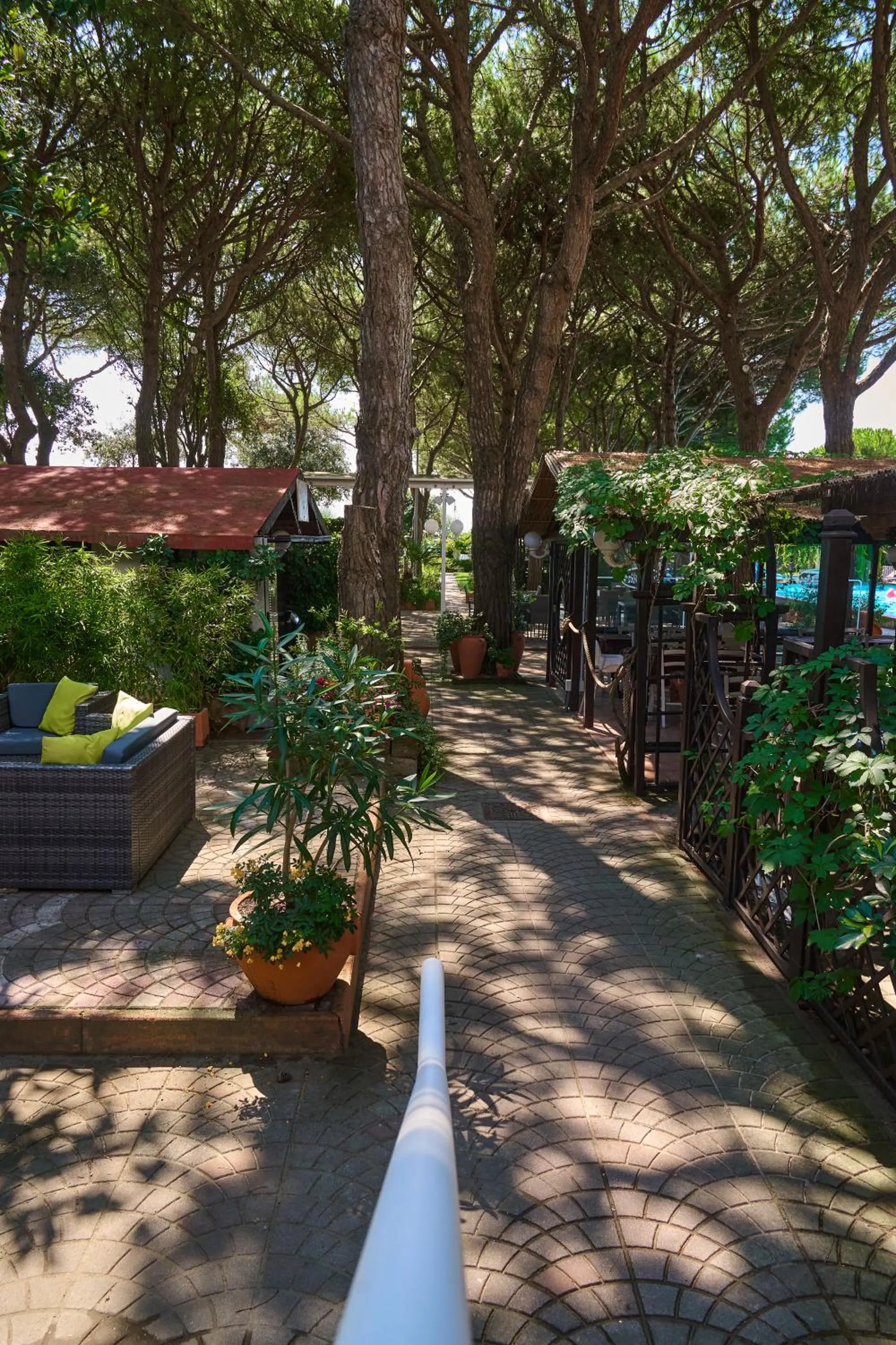 Garden view in Hotel Viña del Mar Pineta