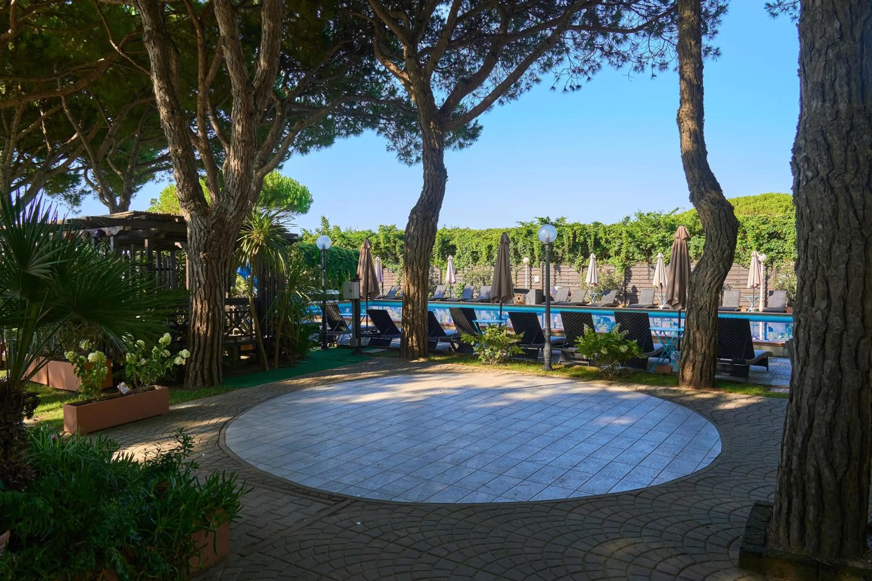 Garden in Hotel Viña del Mar Pineta