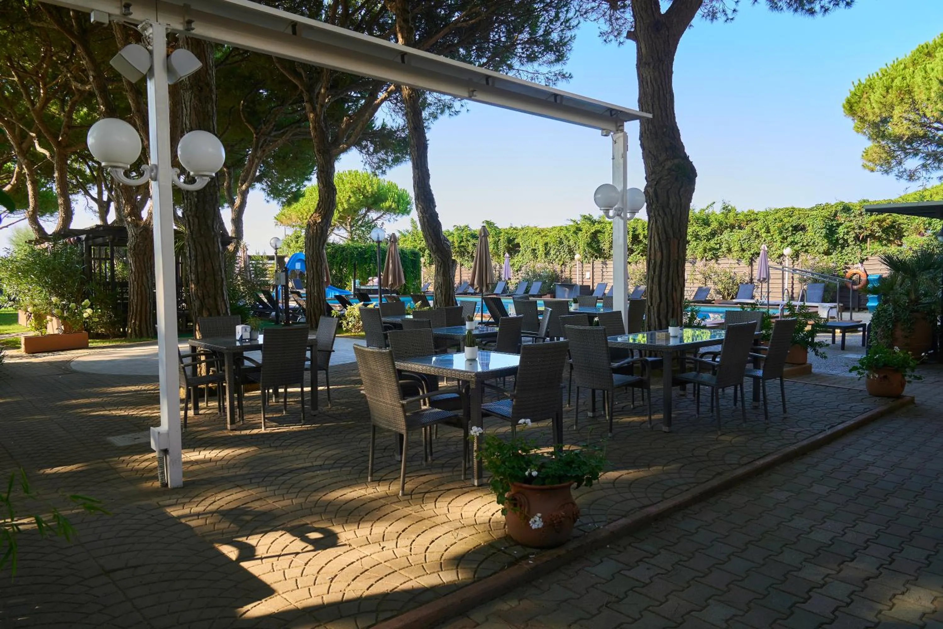 Restaurant/places to eat in Hotel Viña del Mar Pineta