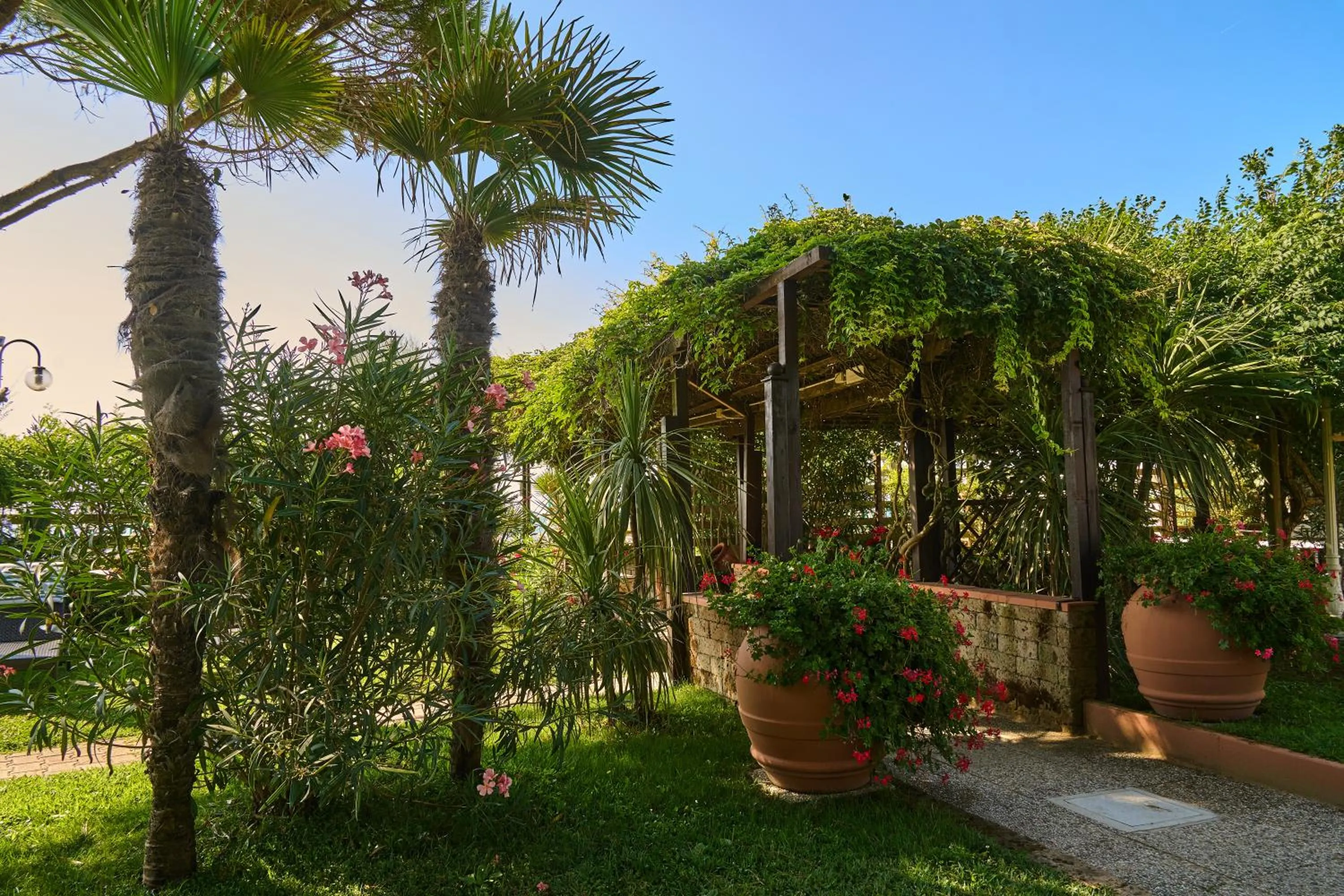Garden view in Hotel Viña del Mar Pineta