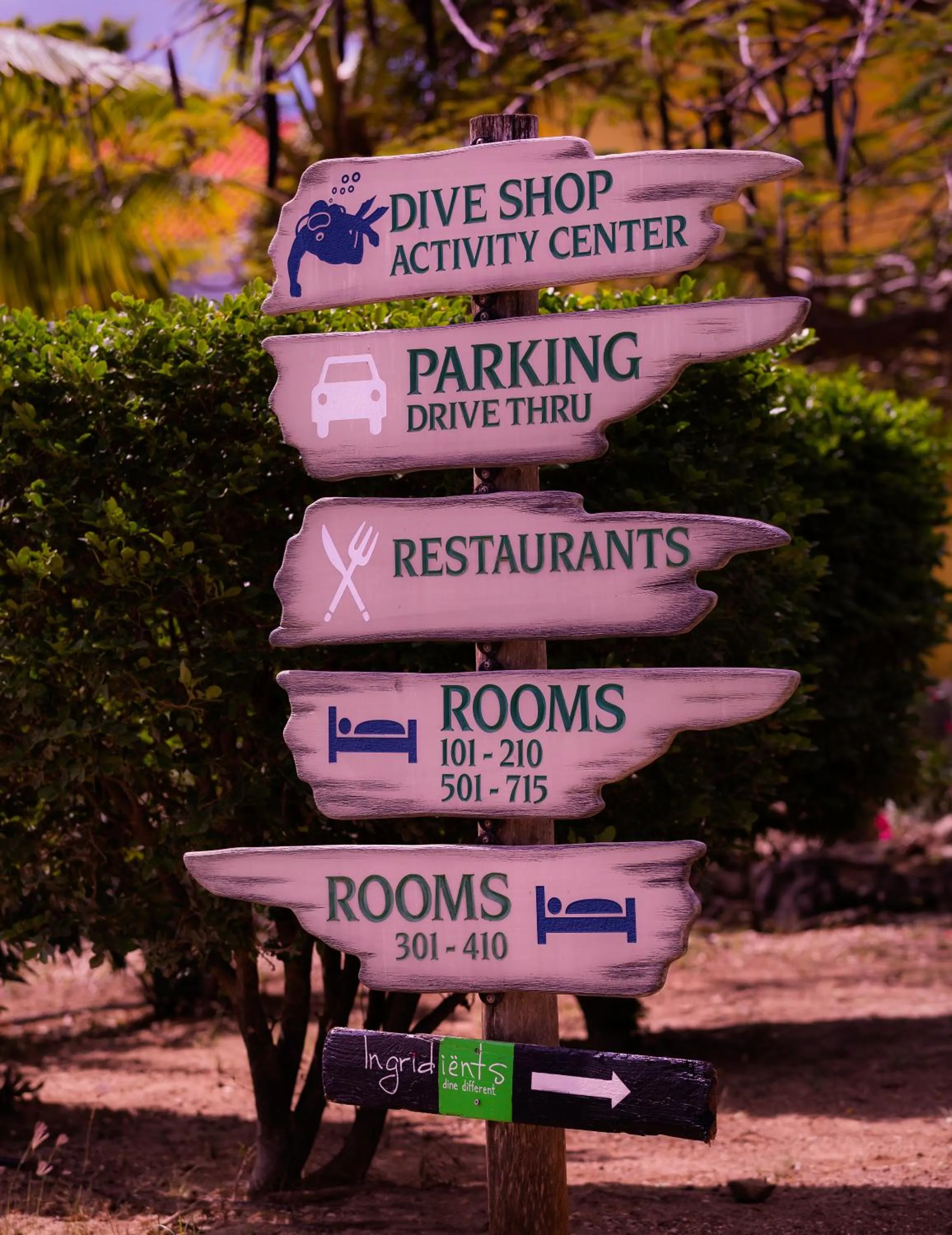 Day in Buddy Dive Resort