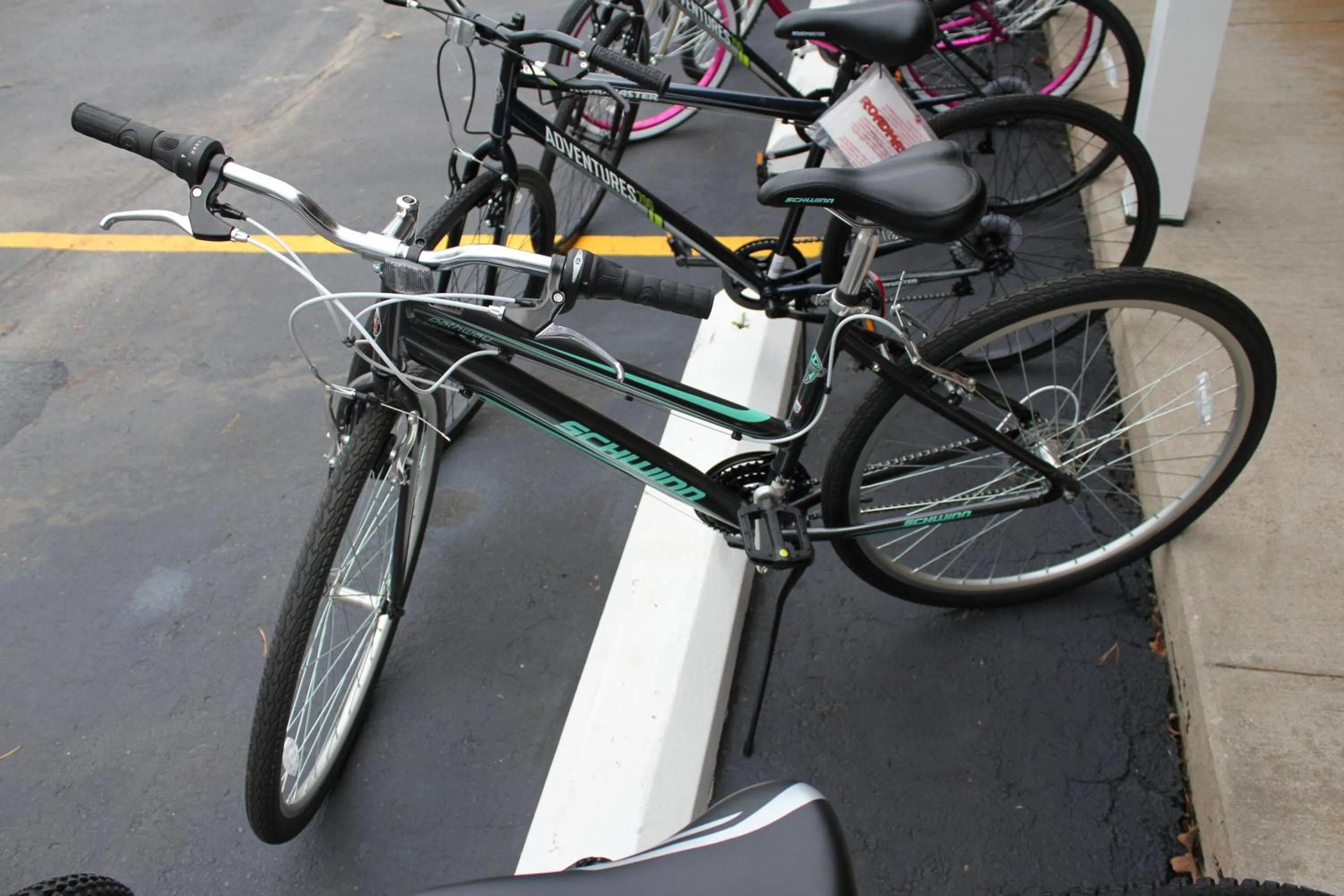 Cycling in Brydan Suites