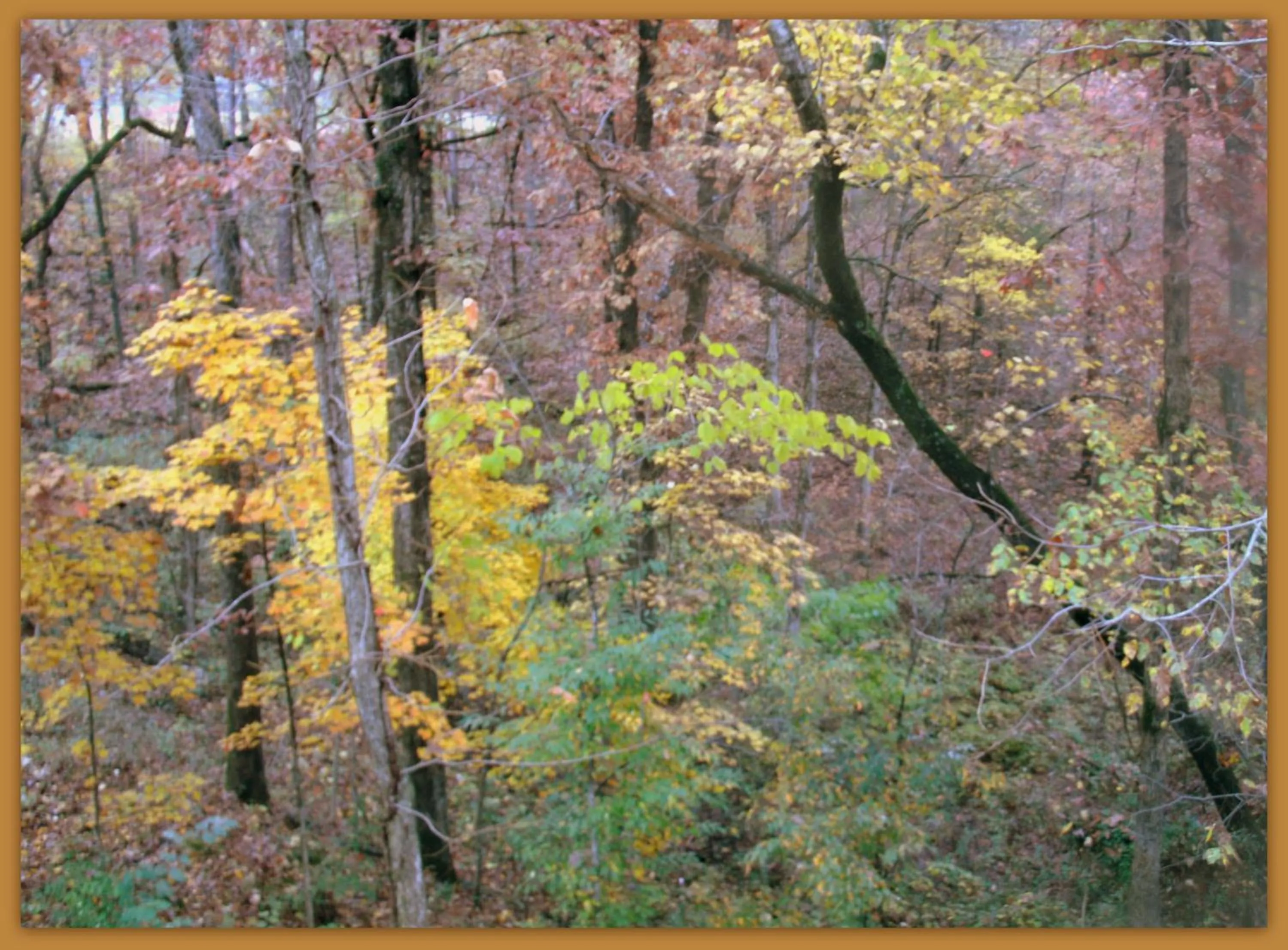 Facade/entrance in Brydan Suites