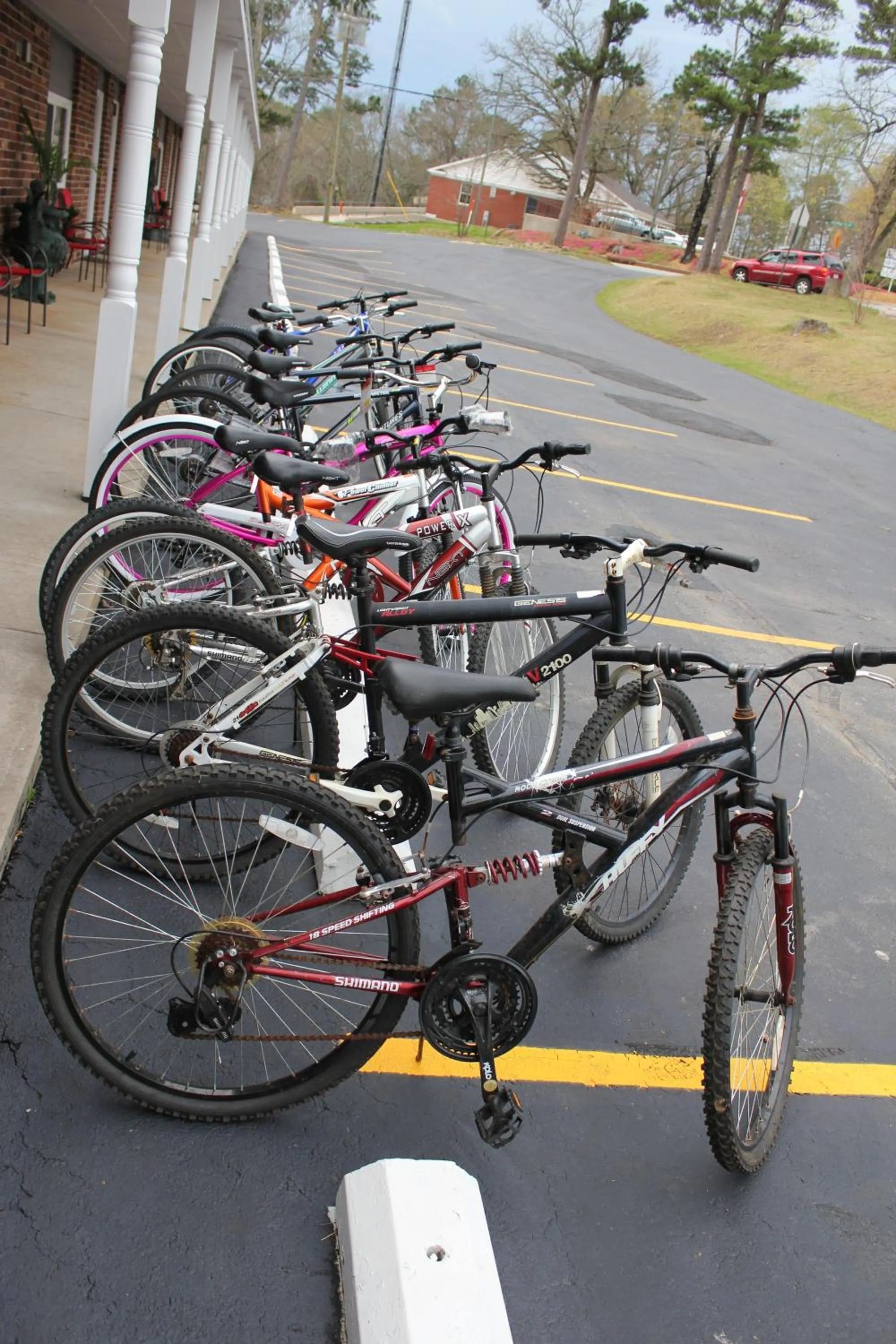 Cycling in Brydan Suites