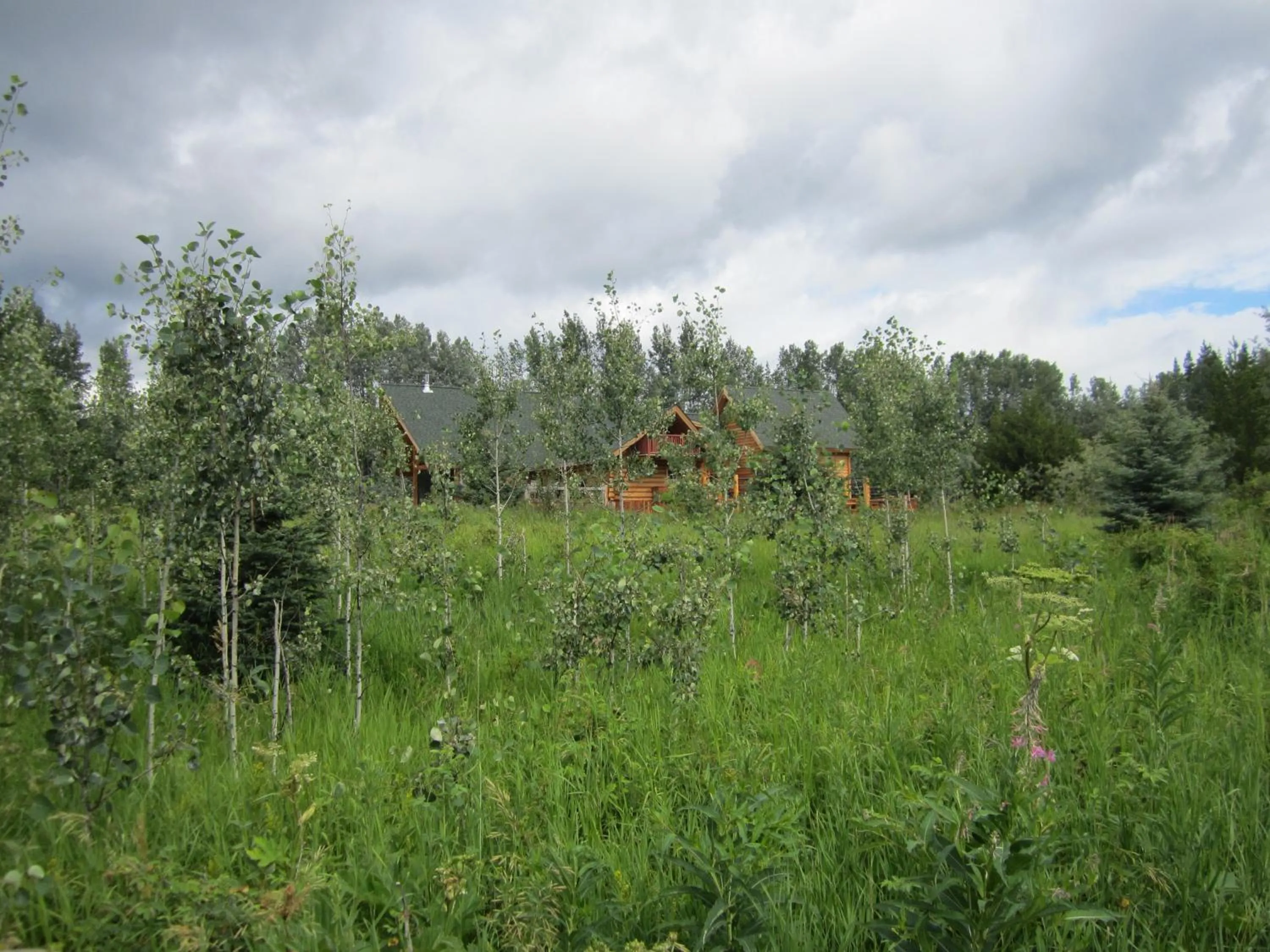 Natural landscape in LDR Lodge - Last Dollar Ranch