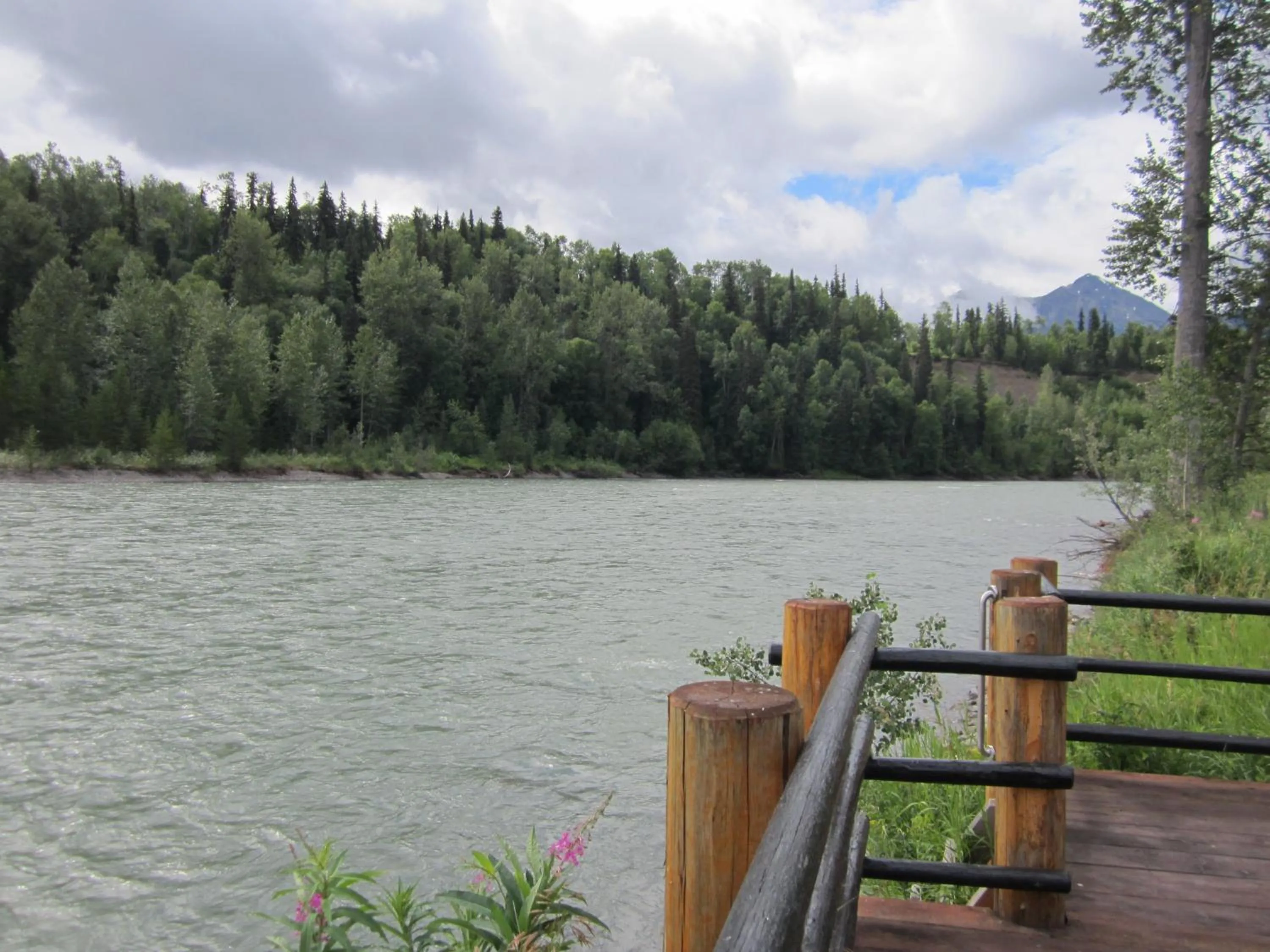 Natural landscape in LDR Lodge - Last Dollar Ranch
