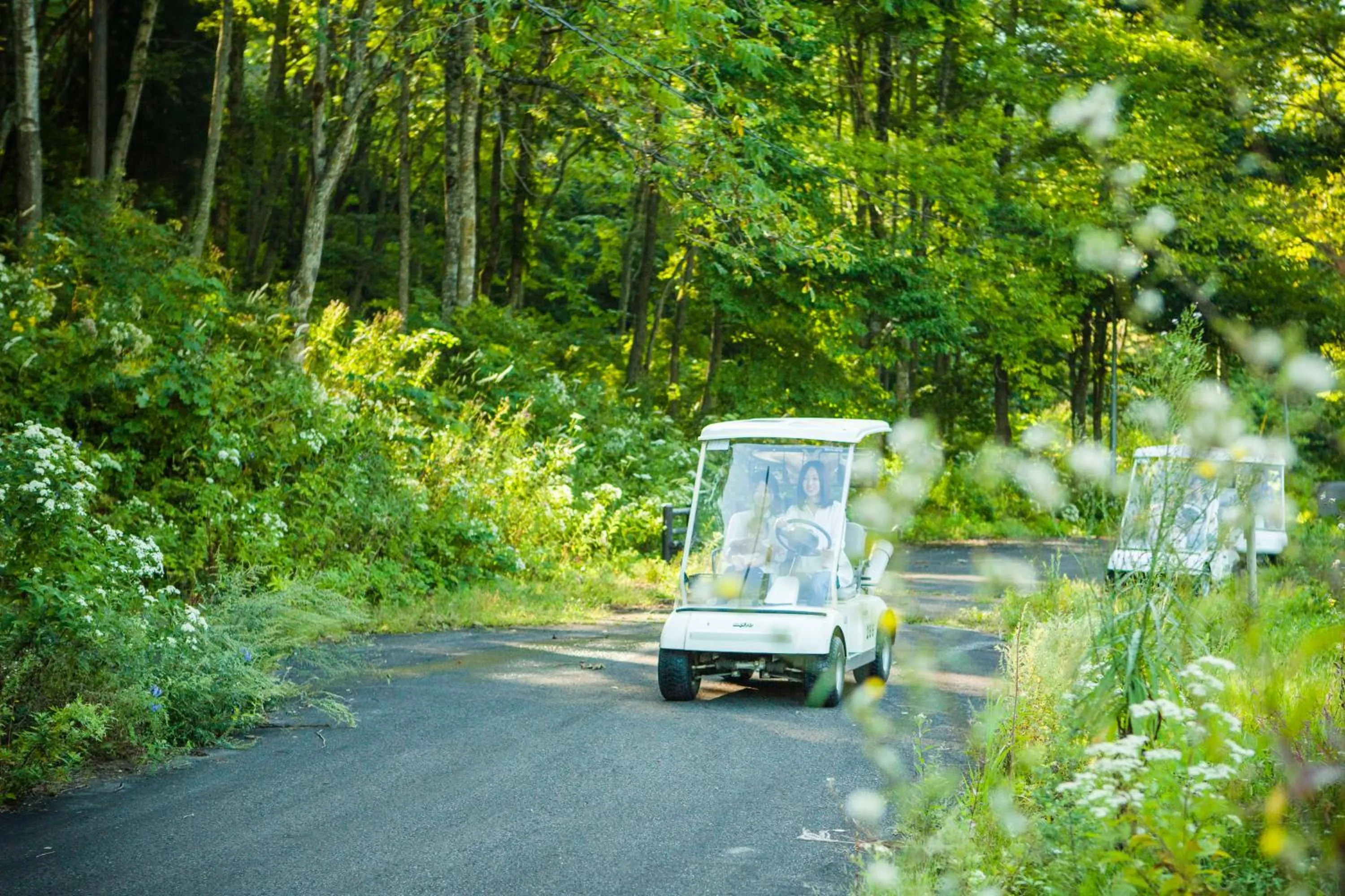 Area and facilities in Arcadia