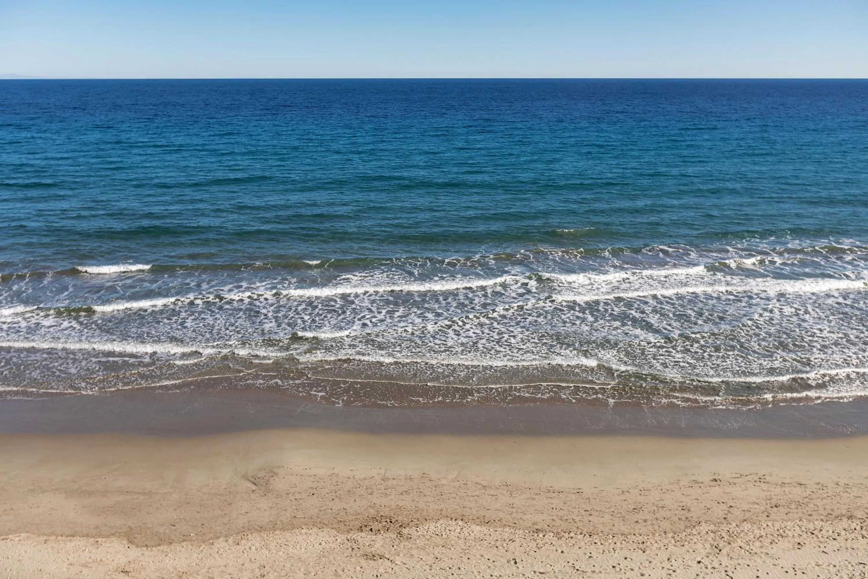 Natural landscape in Hotel Windsor