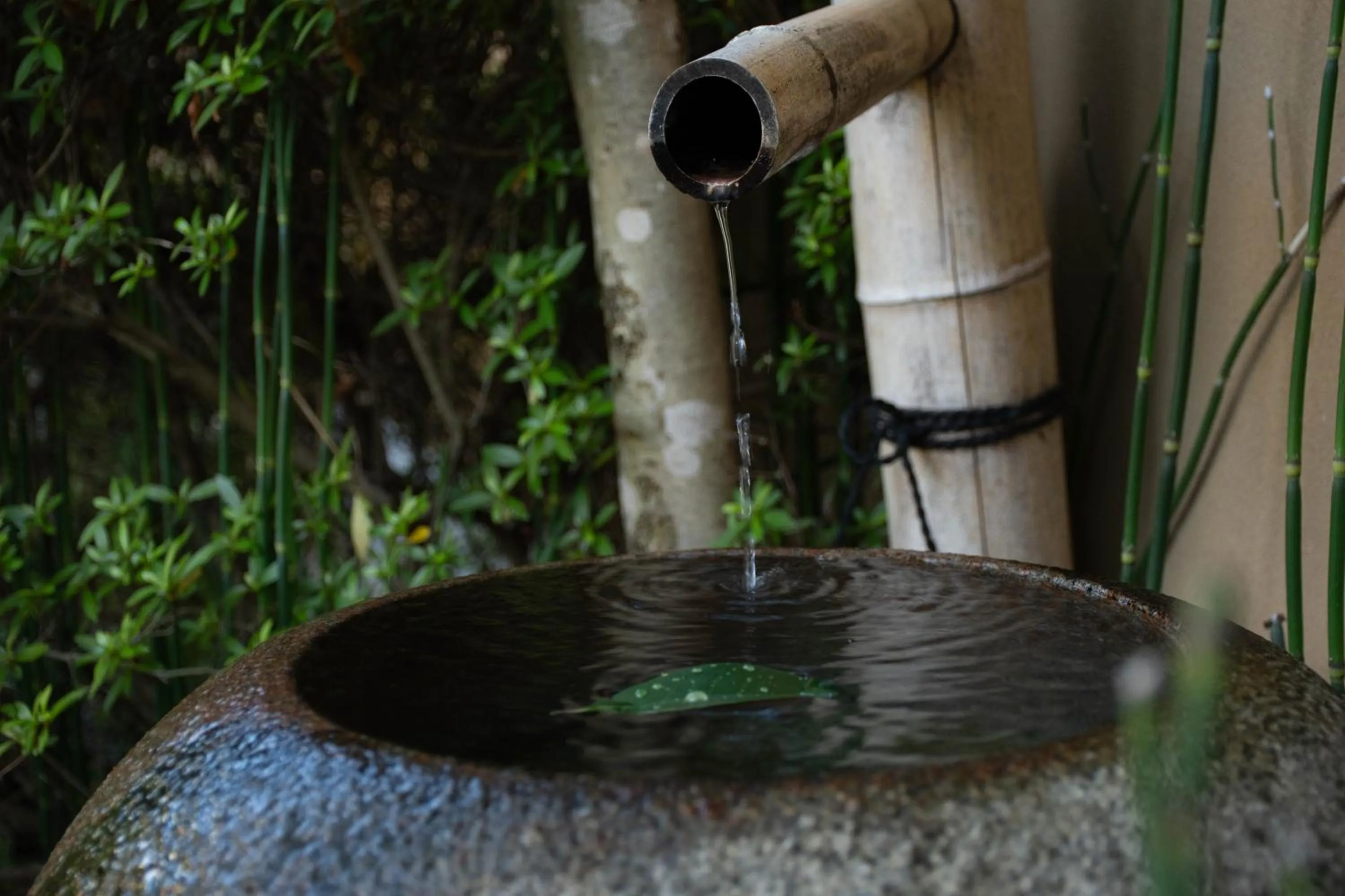 Garden in Hanare Yado Yosizumi