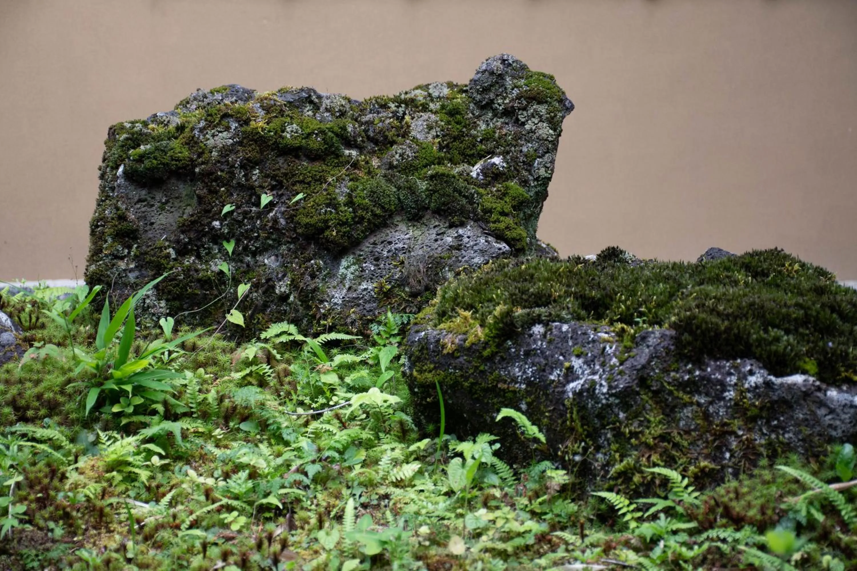 Day in Hanare Yado Yosizumi